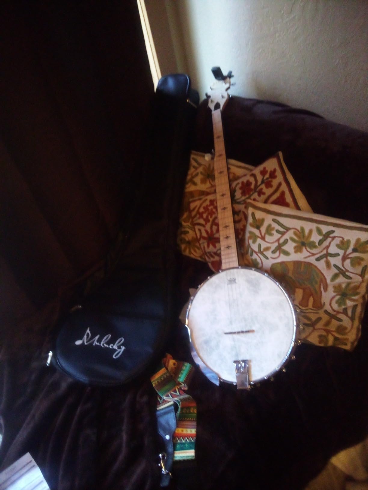 Mulucky 5 String Open Back Banjo MB1101, Maple 24 Brackets Remo Head Kit customer photo 1