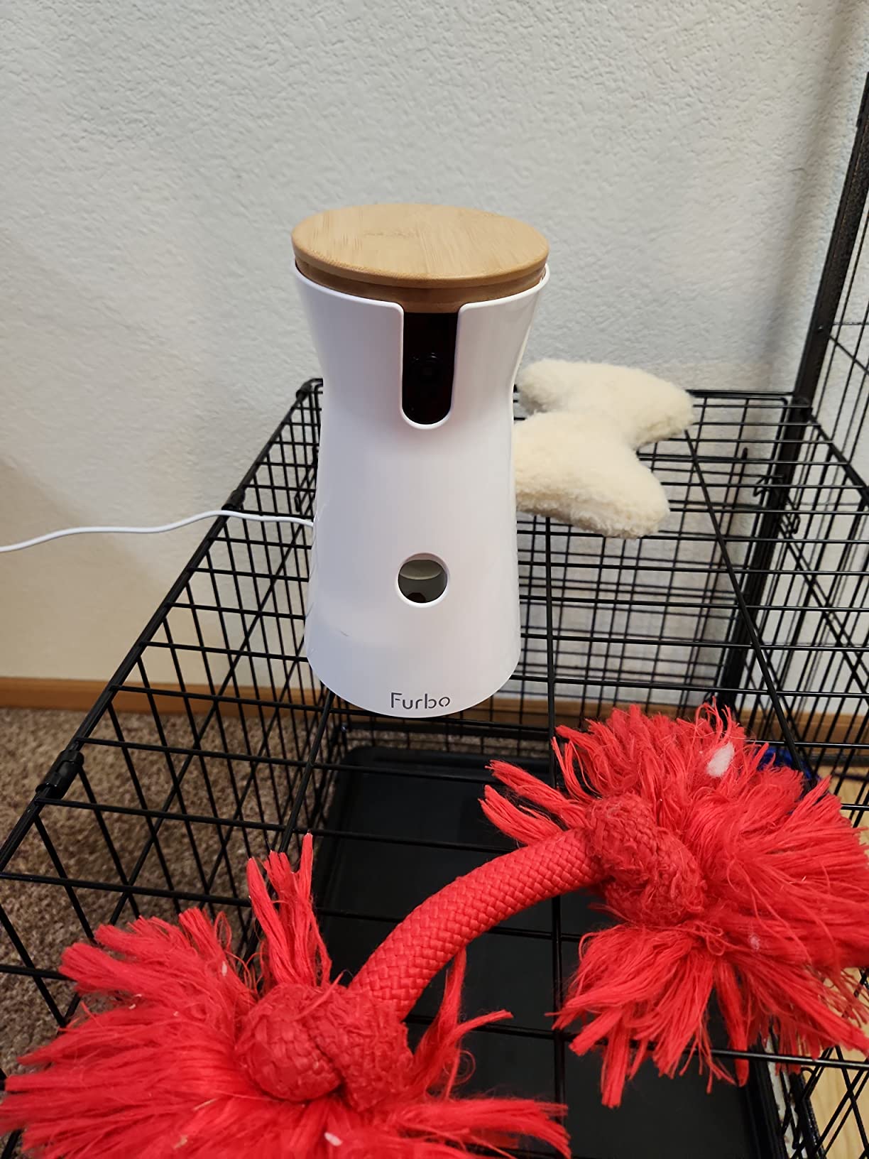 Furbo 360° Dog Camera [No Monthly Fee] | 360° Rotating Live View, Barking Alerts, Treat Toss, 2-Way Audio, Night Vision, Smart Home Puppy Monitoring, No AI Alerts customer photo 1
