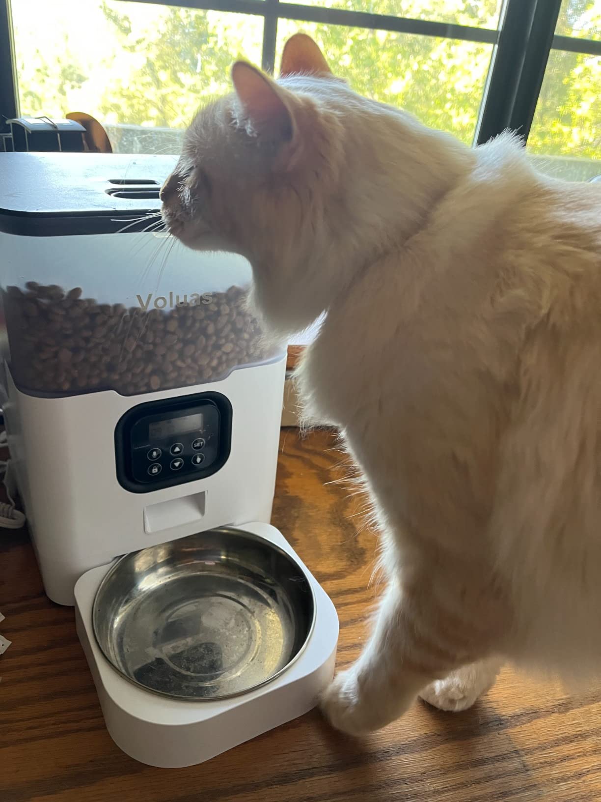 VOLUAS Automatic Cat Feeder, 4L Timed Dry Food Dispenser for Cats & Dogs | Programmable Portion Control, Up to 4 Meals Daily, Dual Power Supply, Power-Off Memory, 10-Second Voice Recorder customer photo 2