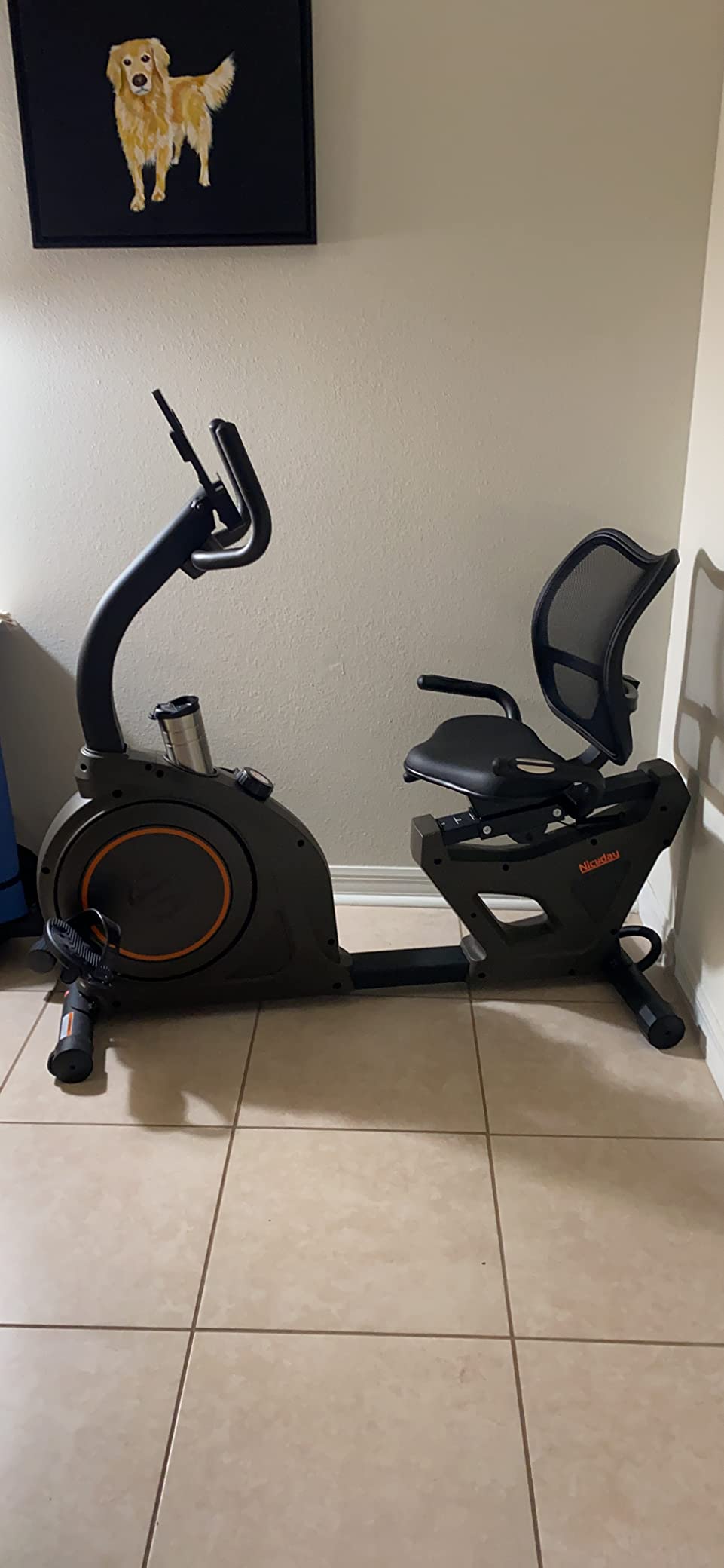 Niceday Recumbent Exercise Bike, Recumbent Bike for Home, Recumbent Stationary Bike 400LBS Weight Capacity, Magnetic Recumbent Bike with Smart APP, LCD Monitor, Heart Rate Handle customer photo 1