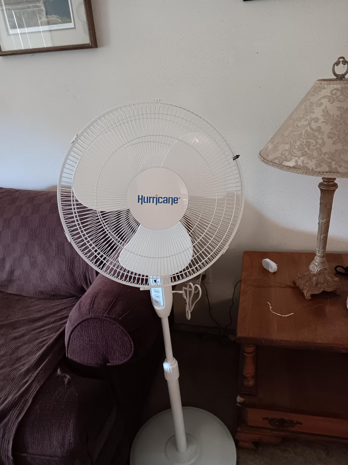 Hurricane Oscillating Pedestal Fan with Remote & 12 Speeds, Black, 16in | Standing Fan with Remote Control, Programmable Timer, and Adjustable Tilt & Height for Home, Bedroom, Office & Dorm customer photo 2