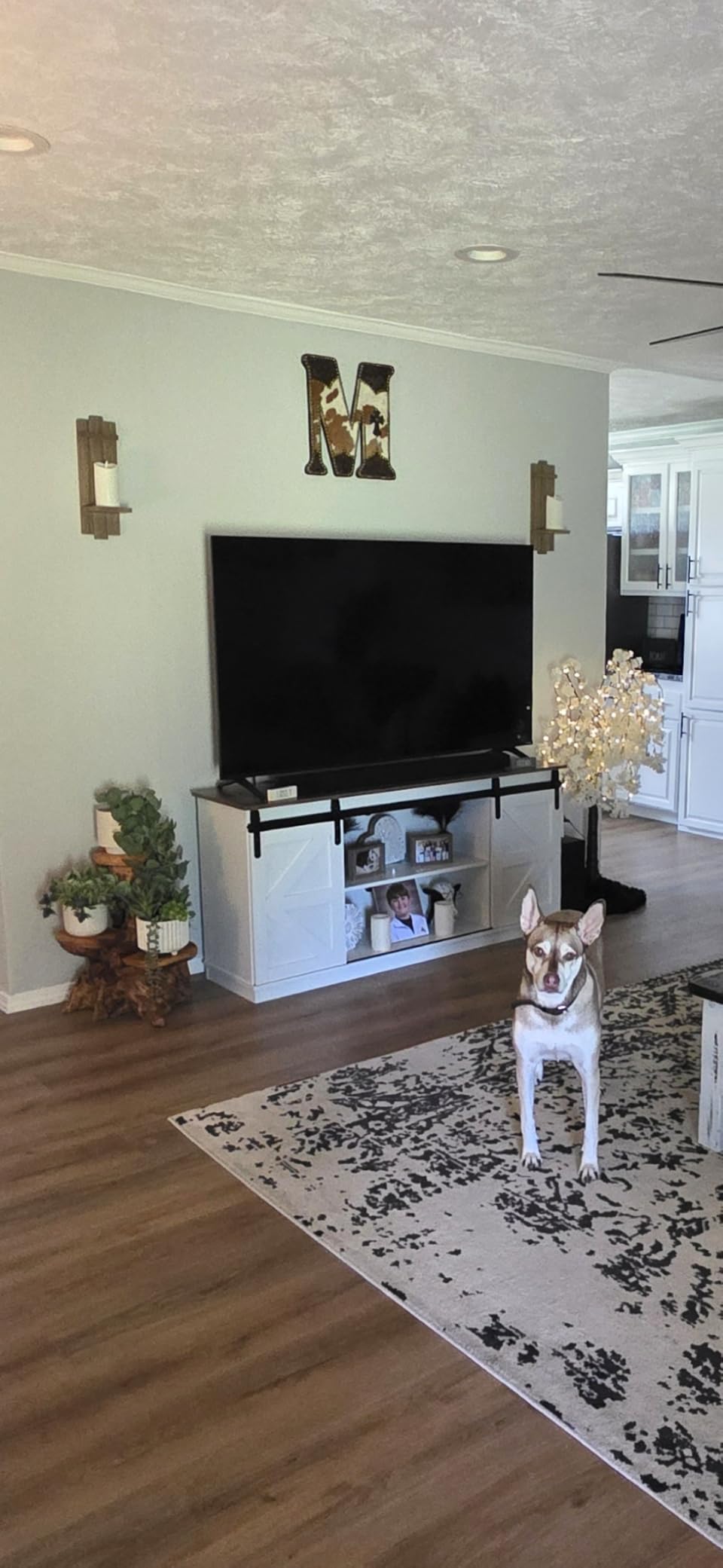 JUMMICO TV Stand for 65 Inch TV, Sliding Barn Doors, Bright White | Farmhouse Entertainment Center, Storage Cabinets, Adjustable Shelves, Media Console for Living Room, Bedroom customer photo 2
