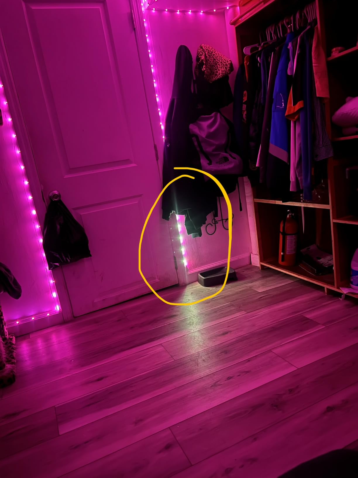 KSIPZE 100ft Led Strip Lights RGB Music Sync Color Changing Led Lights with Smart App Control Remote Led Lights for Bedroom Room Lighting Flexible Home Décor customer photo 1