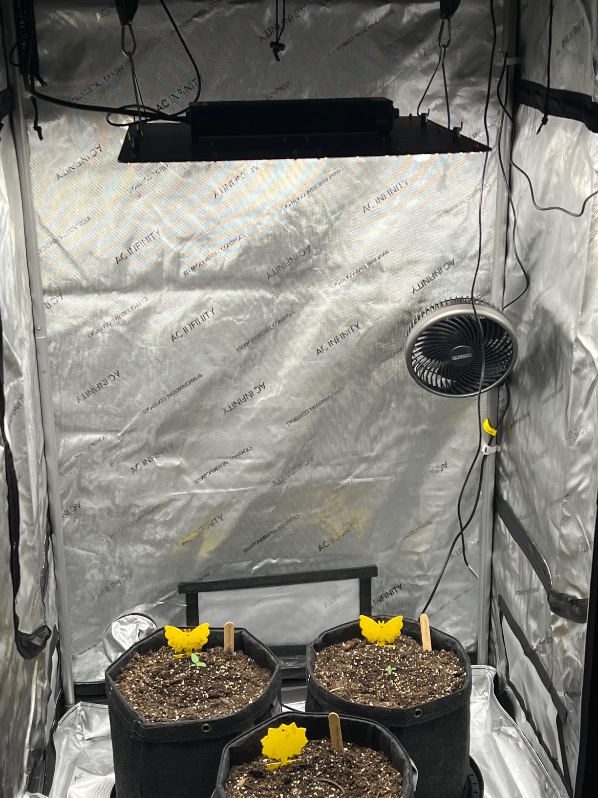 AC Infinity AI Grow System 3x3, 3-Plant Kit w/Self-Learning AI Controller, AI-Powered Environment Controller, WiFi App, Dynamic Airflow & LED Lighting, Thickest Pole Mylar Tent, Largest Zipper Window customer photo 2