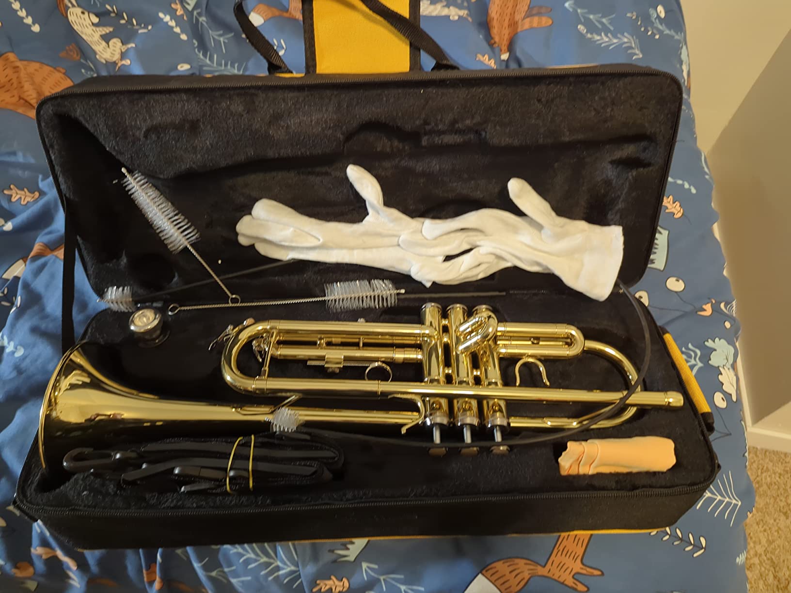 Trumpet Instrument, Band & Orchestra Musical Instruments for Beginners, With trumpets case, Mouthpiece, Cloth and Gloves (Golden) customer photo 1