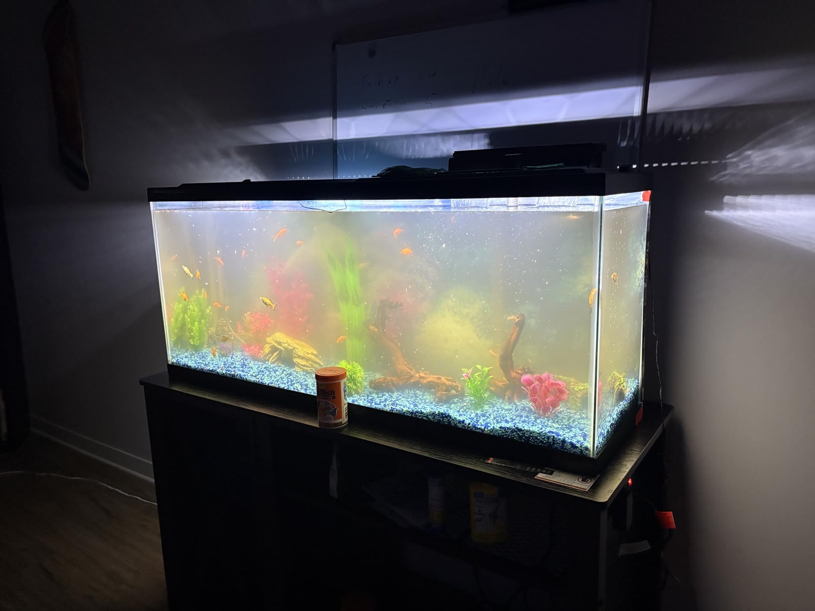 Tetra LED 55 Gallon Complete Fish Tank Kit for Freshwater Fish customer photo 2
