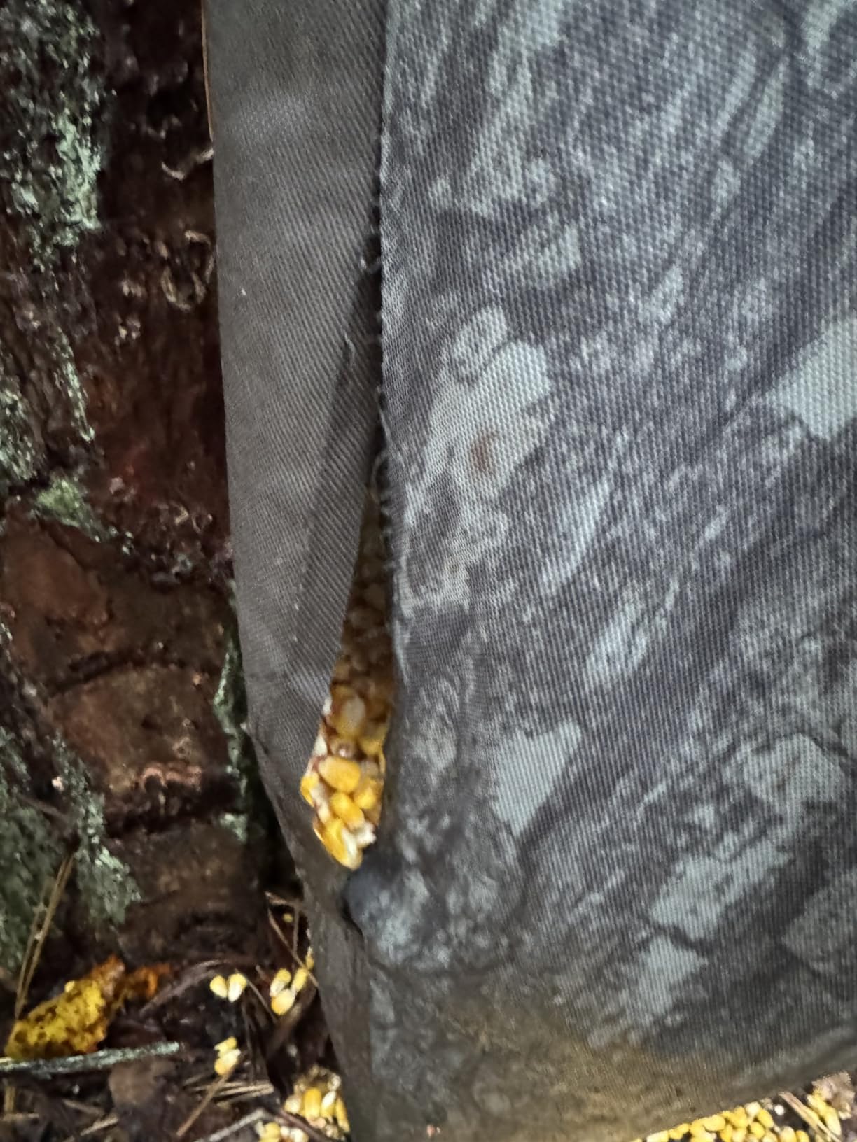Moultrie 100lb Gravity Bag Feeder - Easy Hang Design for Deer and Wildlife | Lightweight bag feeder, easy hang setup, no tools required, holds pellets and corn, ideal for supplemental feeding customer photo 1