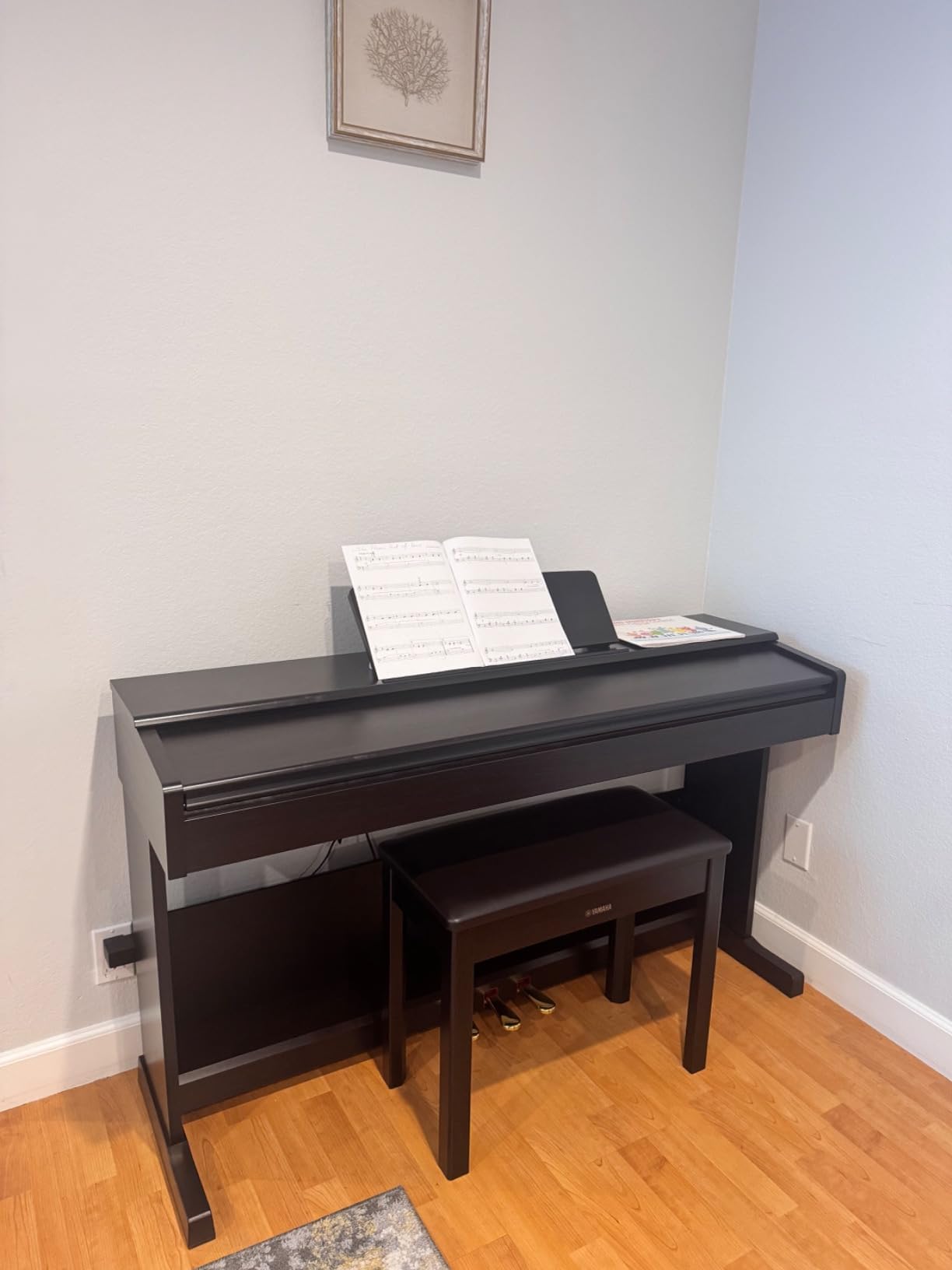 Yamaha Arius Series 88-Key Weighted Action Upright Digital Piano for Beginner and Intermediate Players, Dynamic Response, Grand Piano Sound, 3-pedal Unit, Bench Included, Rosewood YDP105R customer photo 2