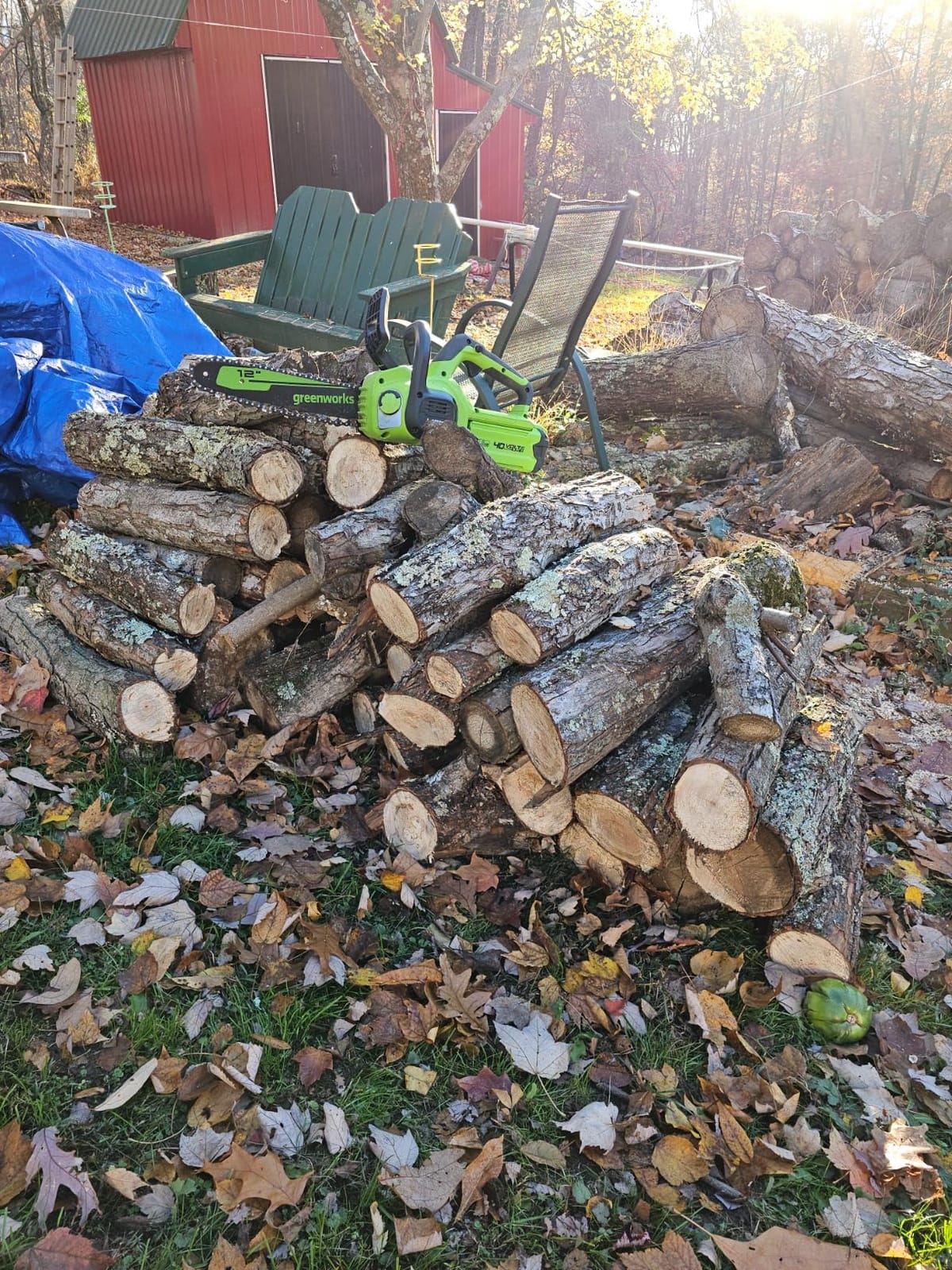 Greenworks 40V 12 in Cordless Electric Chainsaw, 2.0 Ah Battery and Charger customer photo 2