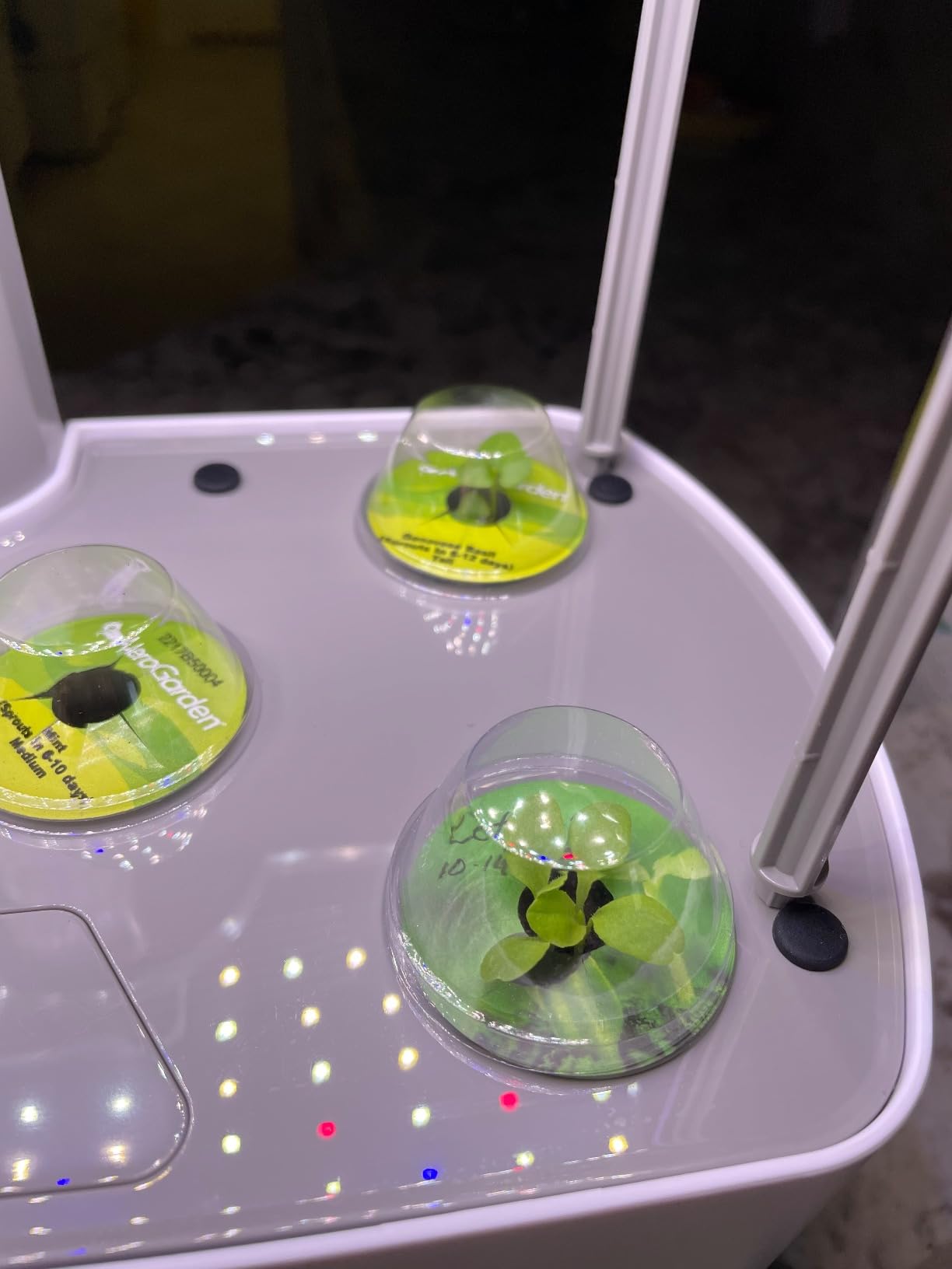 AeroGarden Harvest XL Indoor Garden Hydroponic System, White customer photo 1
