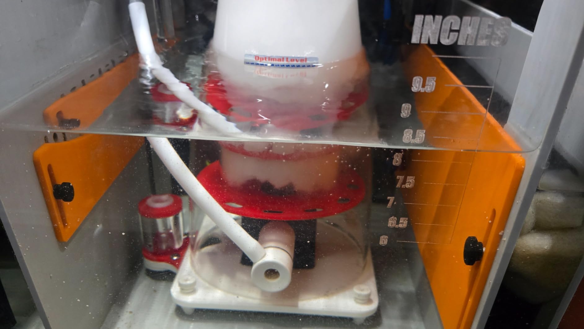 MagTool DC Protein Skimmer with Controllable Pinwheel Pump (N170 Plus) - for 135-185 Gal reef tanks customer photo 1