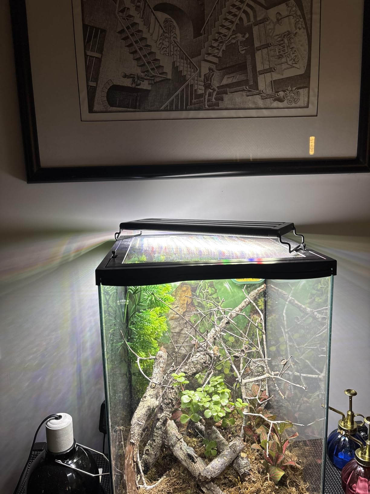 SEAOURA Led Aquarium Light for Plants-Full Spectrum Fish Tank Light 18-24'' | WRGBP Aquarium Plant Light with Timer for Freshwater Tank, 10 Brightness, Extend Brackets, Daylight, Moonlight, Auto On/Off customer photo 1