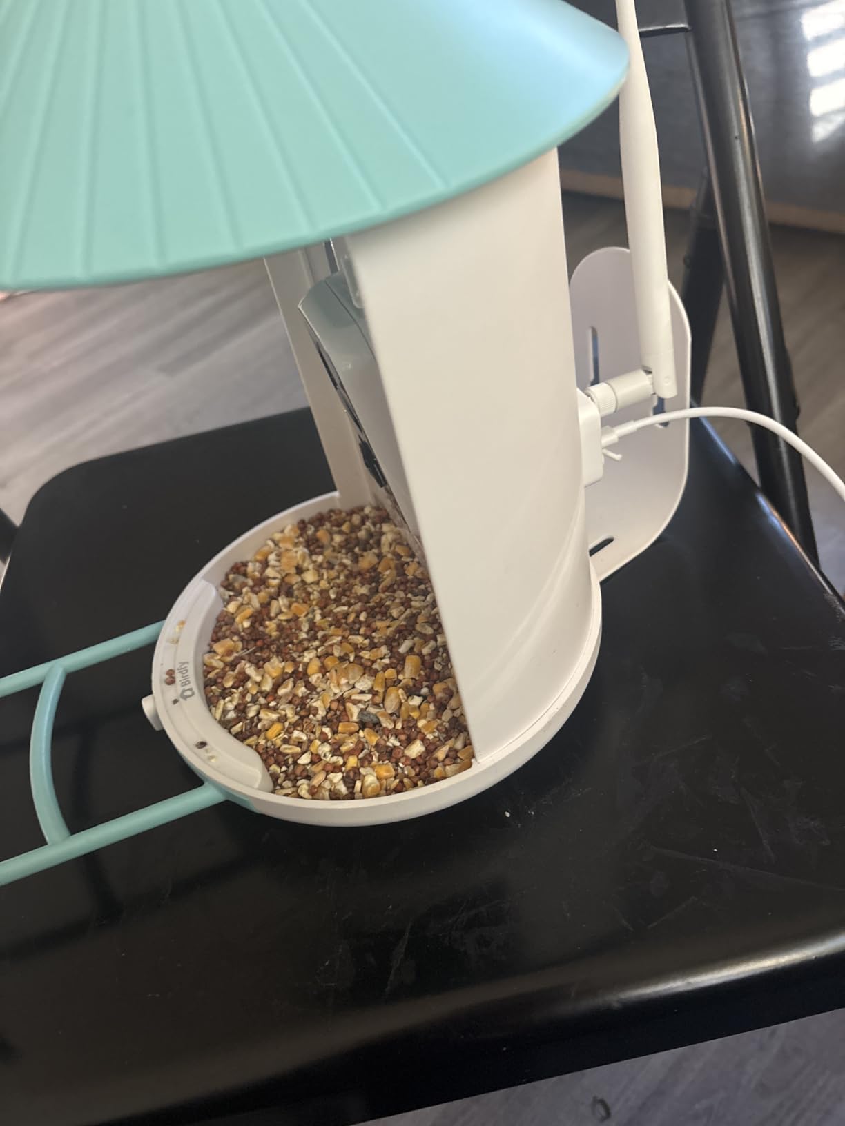 NETVUE by Birdfy Smart Bird Feeder with 2K AI Camera | Solar Powered, Auto Record & Notification, Accurate AI Bird ID, Free Cloud Storage, Share with 20+ Members, Work with Alexa customer photo 1