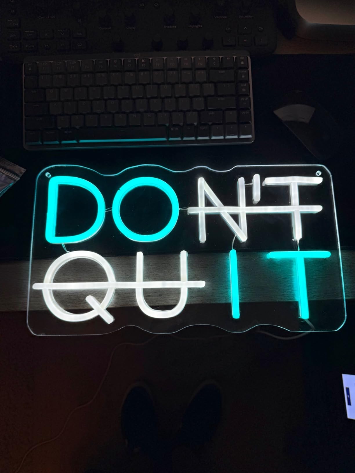 Don't Quit LED Neon Sign for Wall Decor, DO IT Neon Lights Party Decorations, USB Powered Switch Neon Lights lighting adjustable for Office Room, Gym Room, Man Cave, Gamer Room customer photo 1