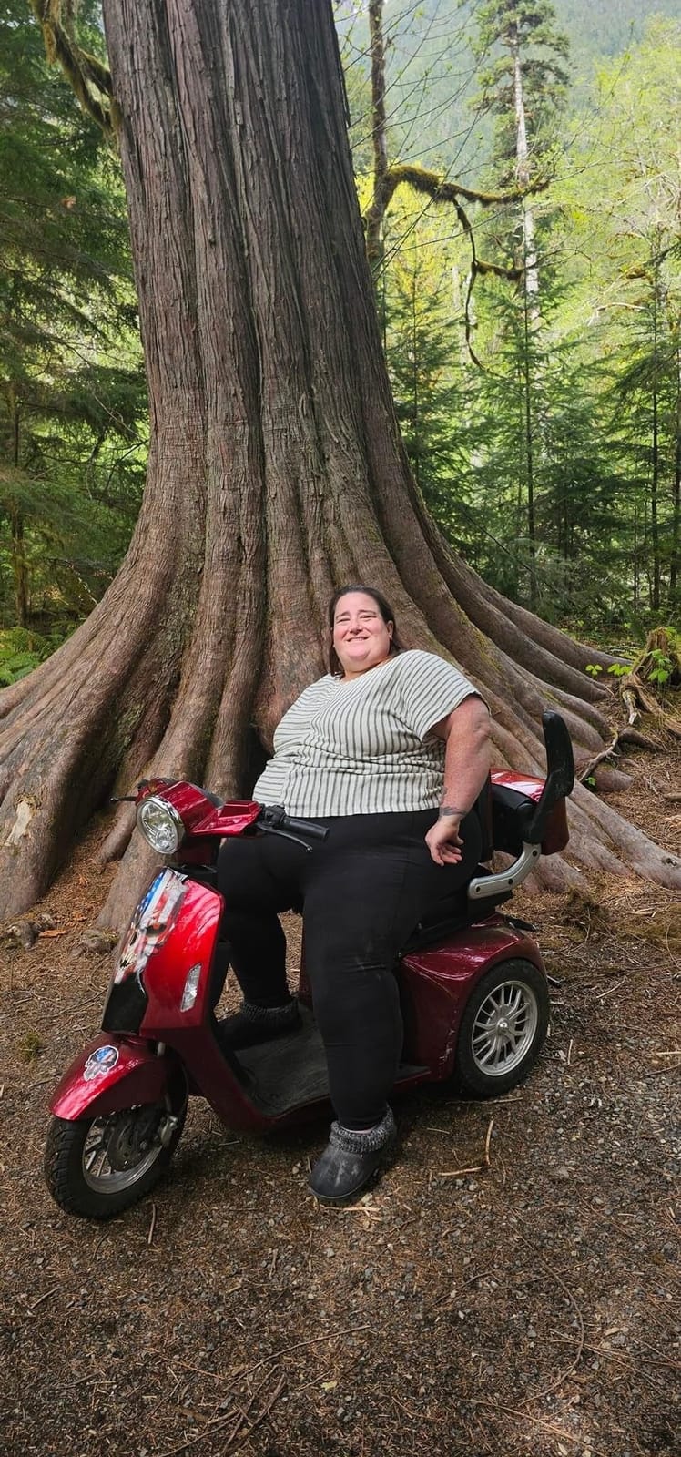 Heavy Duty 3 Wheel Mobility Scooters for Seniors & Adults 500lbs Capacity - Electric Powered Wheelchair Device - 800W All Terrain Fast Mobility Scooter for Outdoor w/Long Range Battery Remote Key customer photo 2