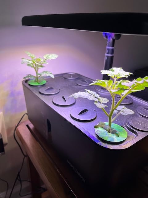 Ahopegarden Indoor Garden Hydroponics Growing System: 10 Pods Kit with LED customer photo 1