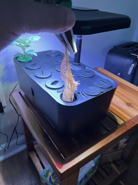 Ahopegarden Indoor Garden Hydroponics Growing System: 10 Pods Kit with LED customer photo 2
