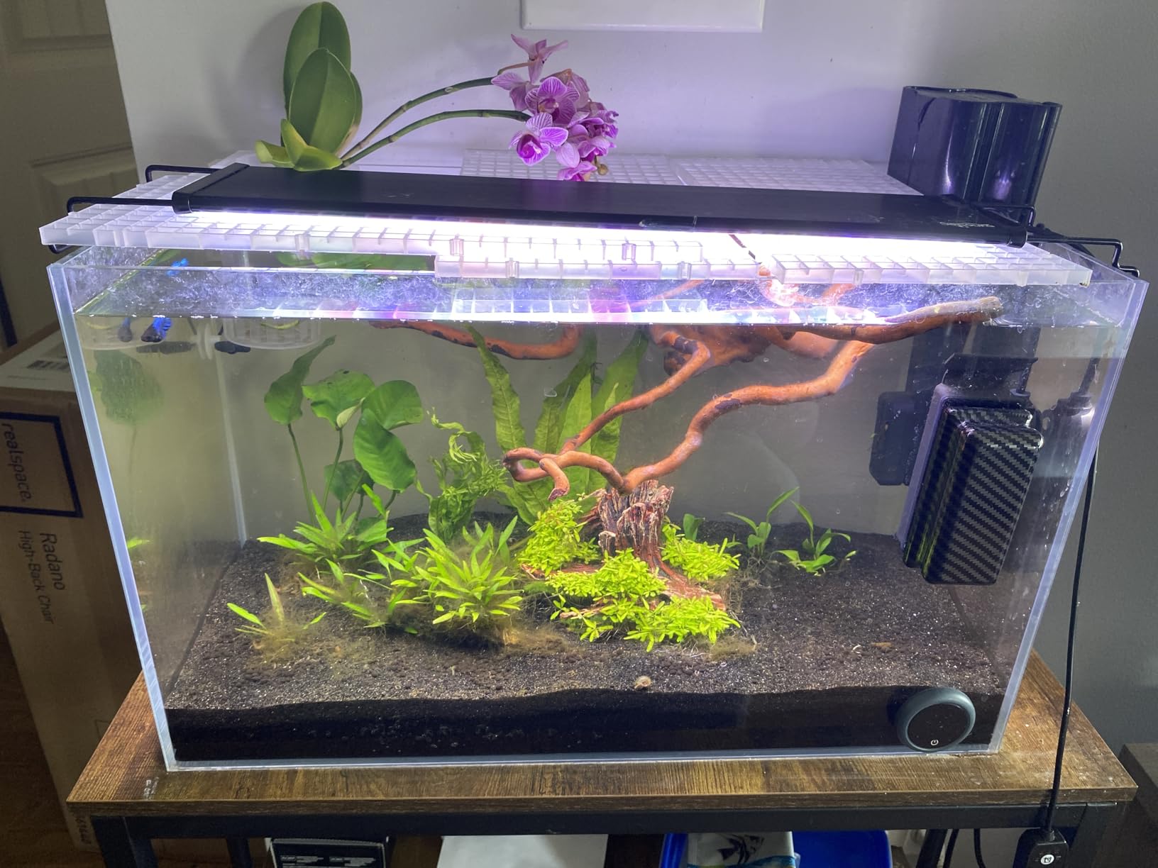 SEAOURA 24/7 Led Aquarium Light for Plants Growth-Full Spectrum, 12-18 Inch | Fish Tank Light with Timer for Freshwater Tank, Auto On/Off, 8 Colors, 10 Brightness, IP68 Waterproof, Power Off Memory customer photo 1