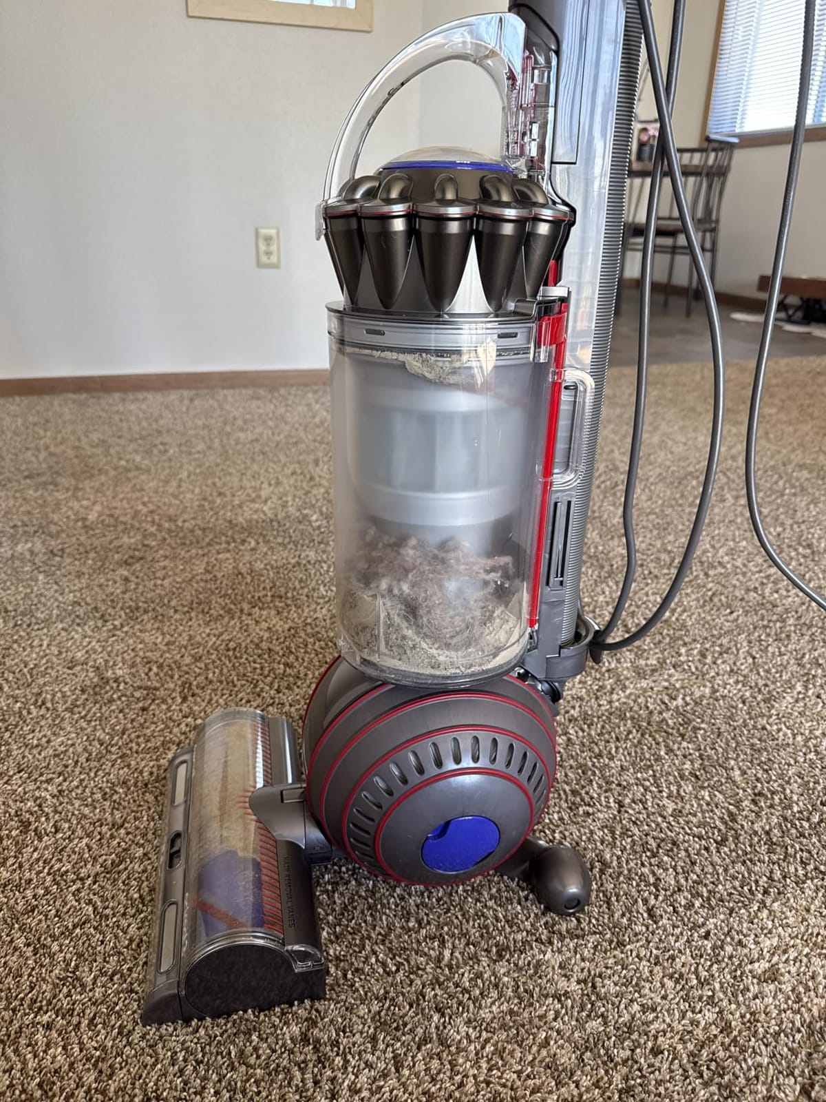 Dyson Ball Animal 3 Upright Vacuum, Corded, 290AW, De-tangling Motorbar Cleaner Head for All Floors, 3 Suction Modes customer photo 1