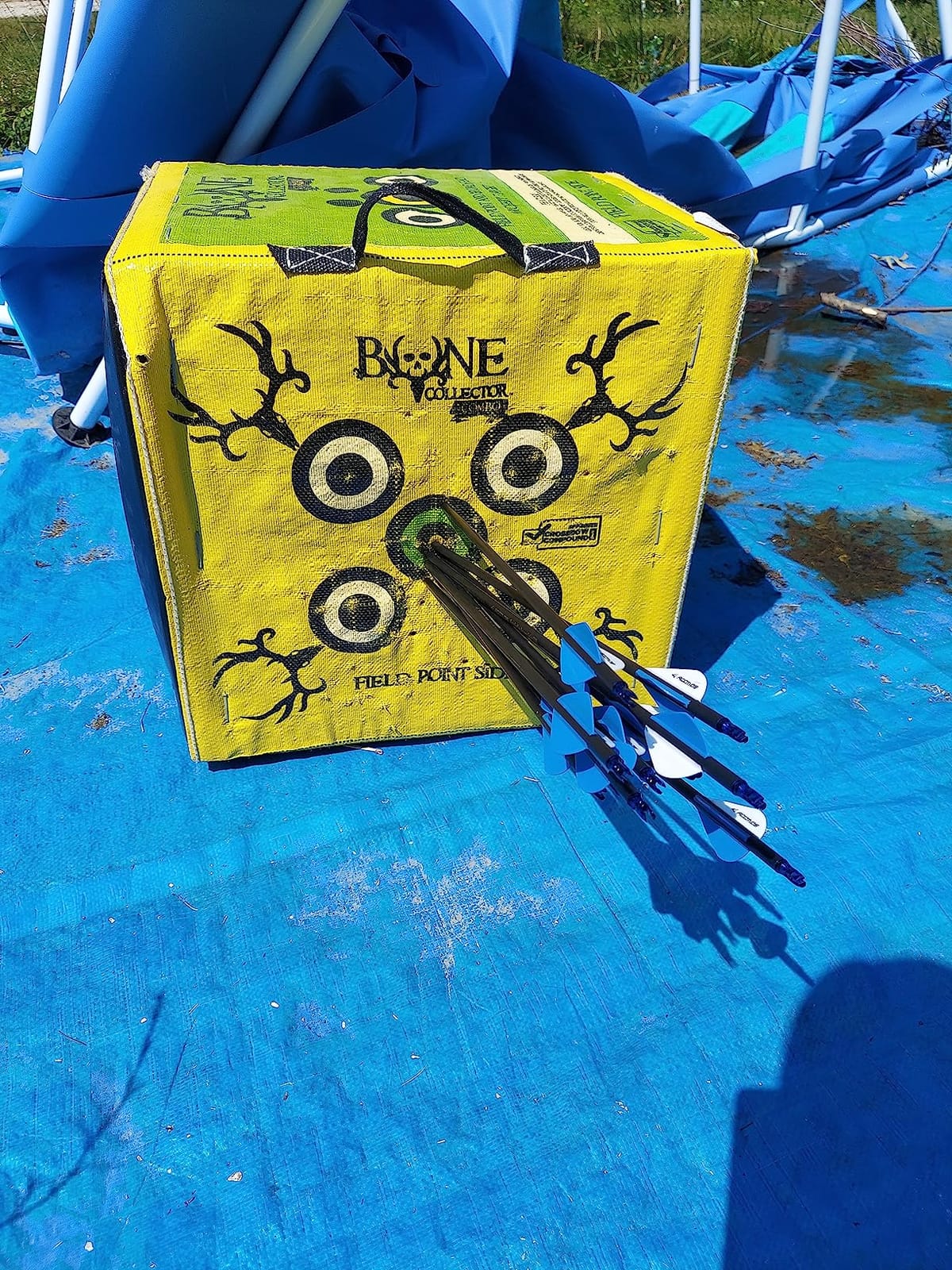 Youth Compound Bow Set 15-45 Lbs for Teens and Beginner, Package with Archery Hunting Equipment, Max Speed 260fps, Adjustable, Right Hand customer photo 1