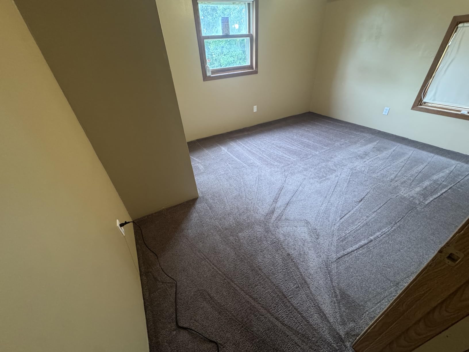 BISSELL ProHeat 2X Revolution Pet Pro Plus Carpet Cleaner, 3588F customer photo 2
