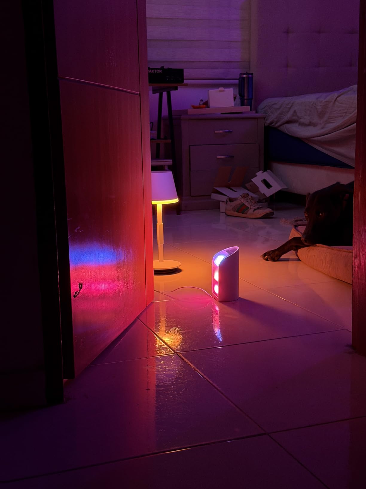 Philips Hue Go Smart Portable Table Lamp, 1-Pack | White and Colour Ambience, LED Colour Changing, Indoor & Outdoor Use, Control with Hue App or Voice Assistant customer photo 2