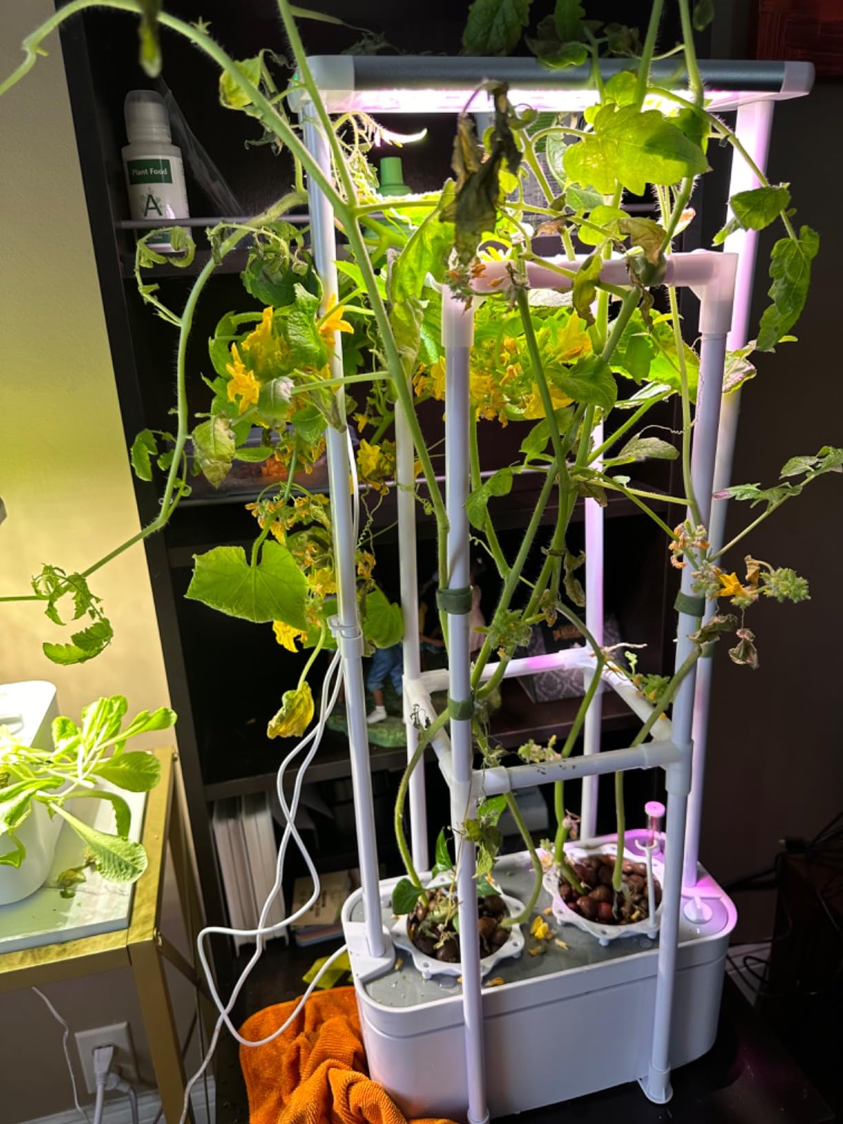 Tall Hydroponics Growing System kit with Height Adjustable Light & Trellis | Hydroponic Indoor Gardening System Tower with High Power Timer LED Grow Light, Herb Garden Grow Kit for Tomato, Pepper, Cucumber customer photo 1