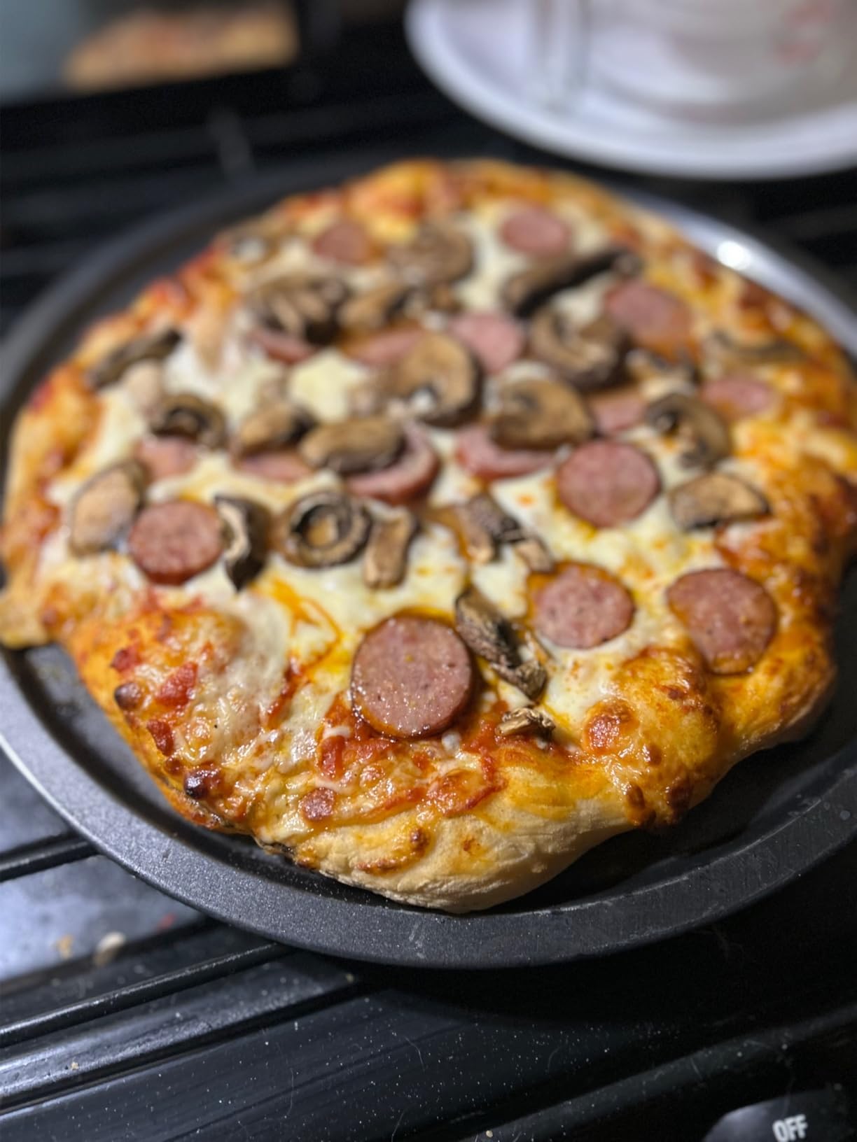 Outdoor Pizza Oven, Wood Fired for Outside, Patio Maker With Stone, Peel, Grill Rack, and Waterproof Cover for Backyard Camping customer photo 2