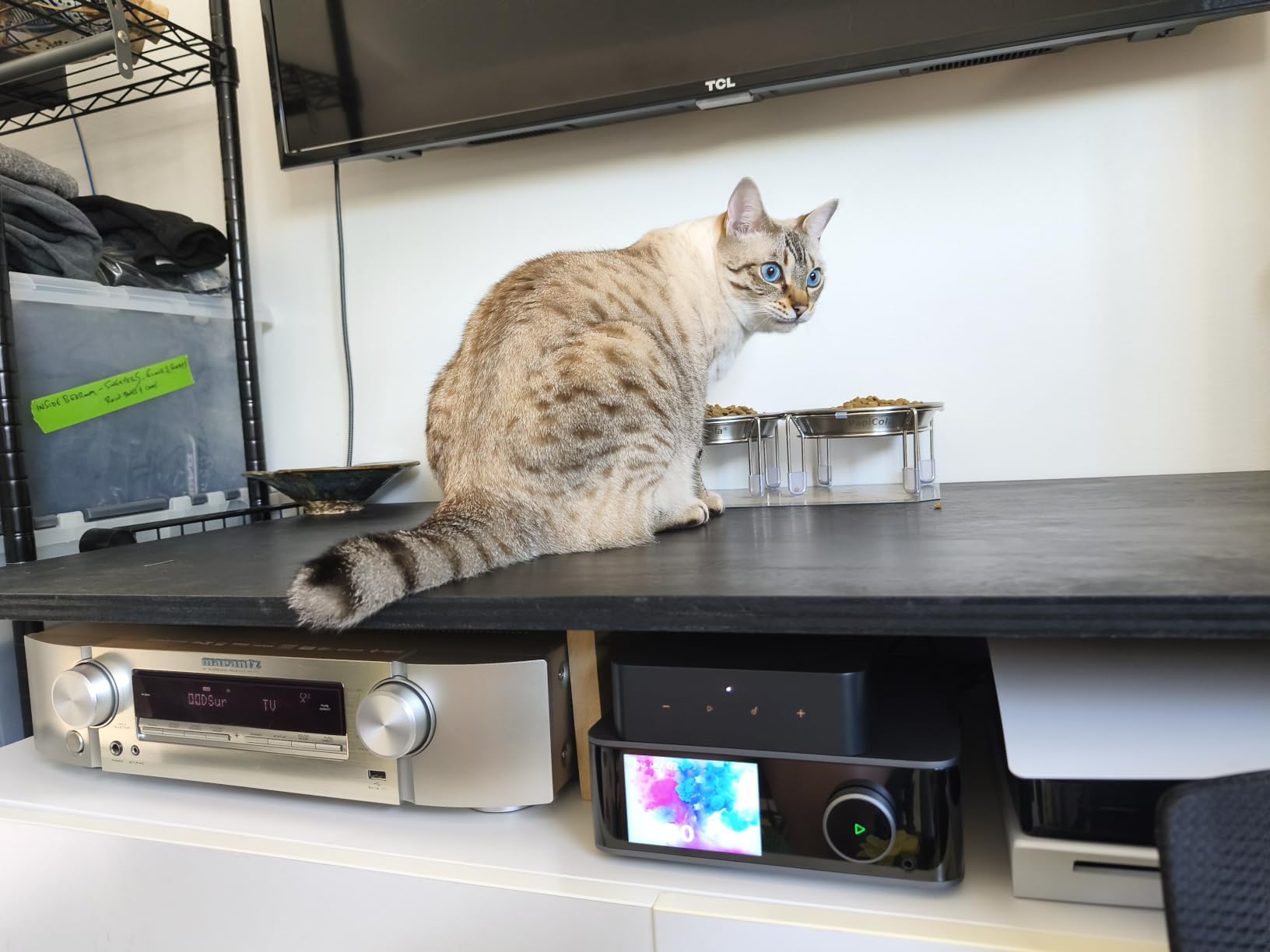 WiiM Pro Music Streamer to Upgrade Stereo with AirPlay 2, Spotify Connect | Upgrade Your Favorite Stereo with Hi-Res Streaming, AirPlay 2, Spotify Connect, Roon Ready, and Whole-Home Audio Control customer photo 2