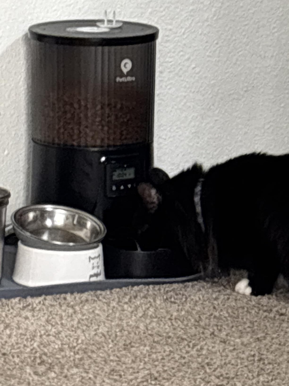 PETULTRA Automatic Cat Feeder: 4L Timed Cats Food Dispenser Programmable | Easy to Set, Dual Power, Precise Portion, Auto Pet Feeder with Desiccant Bag, Detachable Washable for Cats and Small Dog customer photo 2