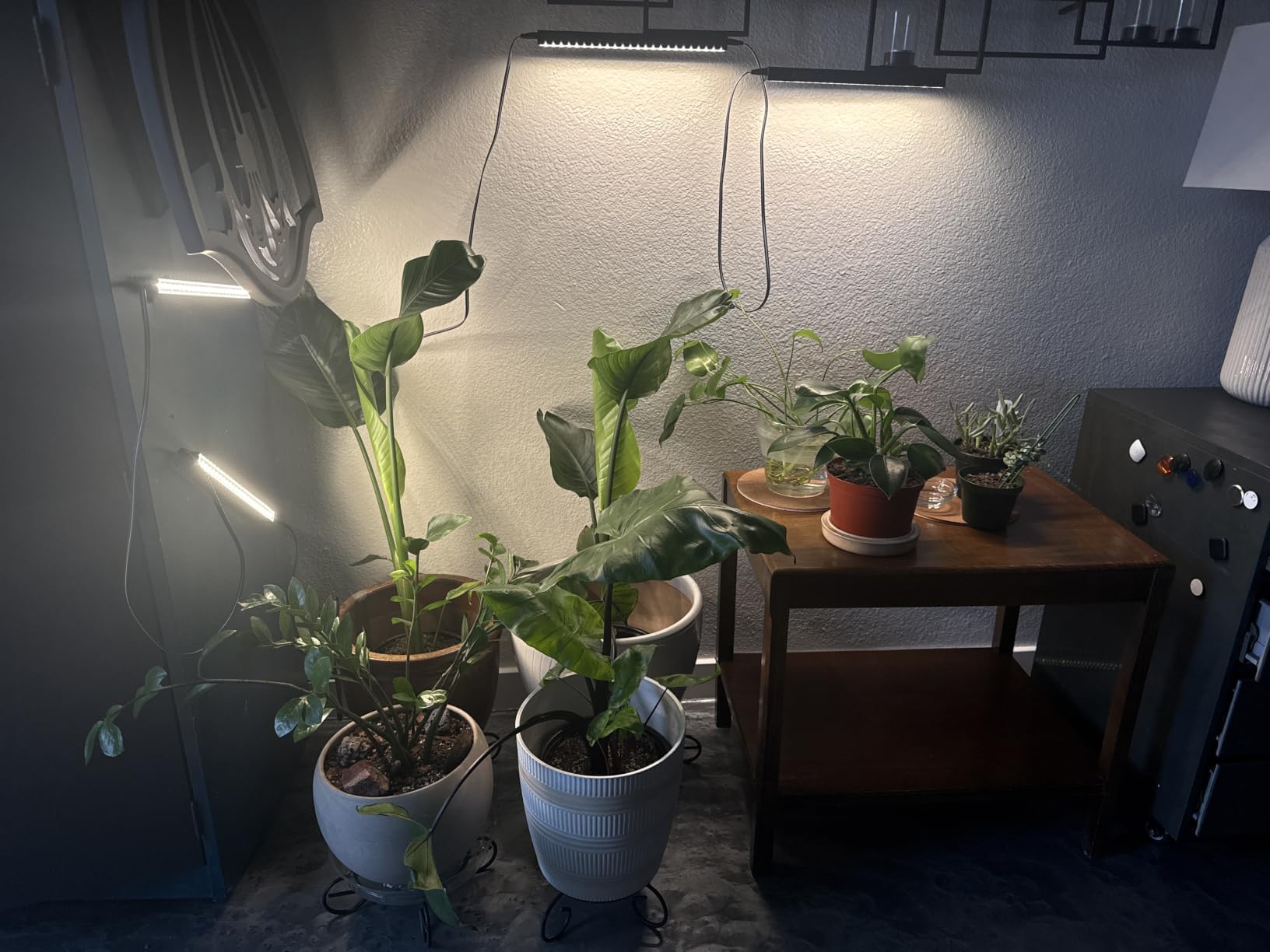 Barrina T5 Grow Lights for Indoor Plants, 5000K Full Spectrum, 1FT, 4 Packs | 1FT LED Growing Lamp, Plant Light Strip for Seed Starting, Vegetables and Greens, Plug and Play, Linkable customer photo 1