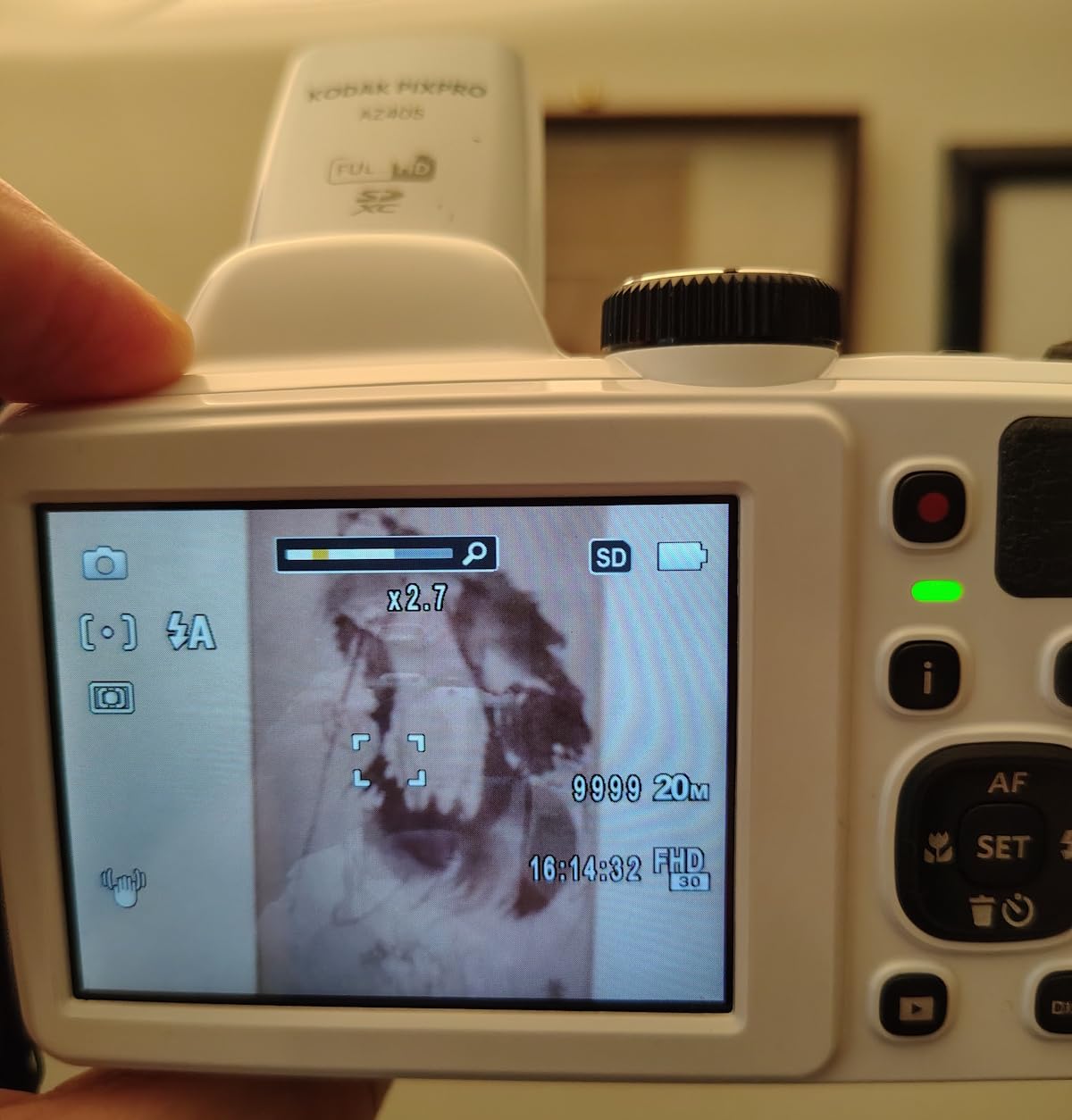 KODAK PIXPRO AZ405 20MP Digital Camera, 40x Optical Zoom, AA, OIS, Black | 1080p Full HD Video, 24mm Wide Angle Lens, 3 Inch LCD, Bridge Camera, Scene Detection, Travel and Wildlife customer photo 1
