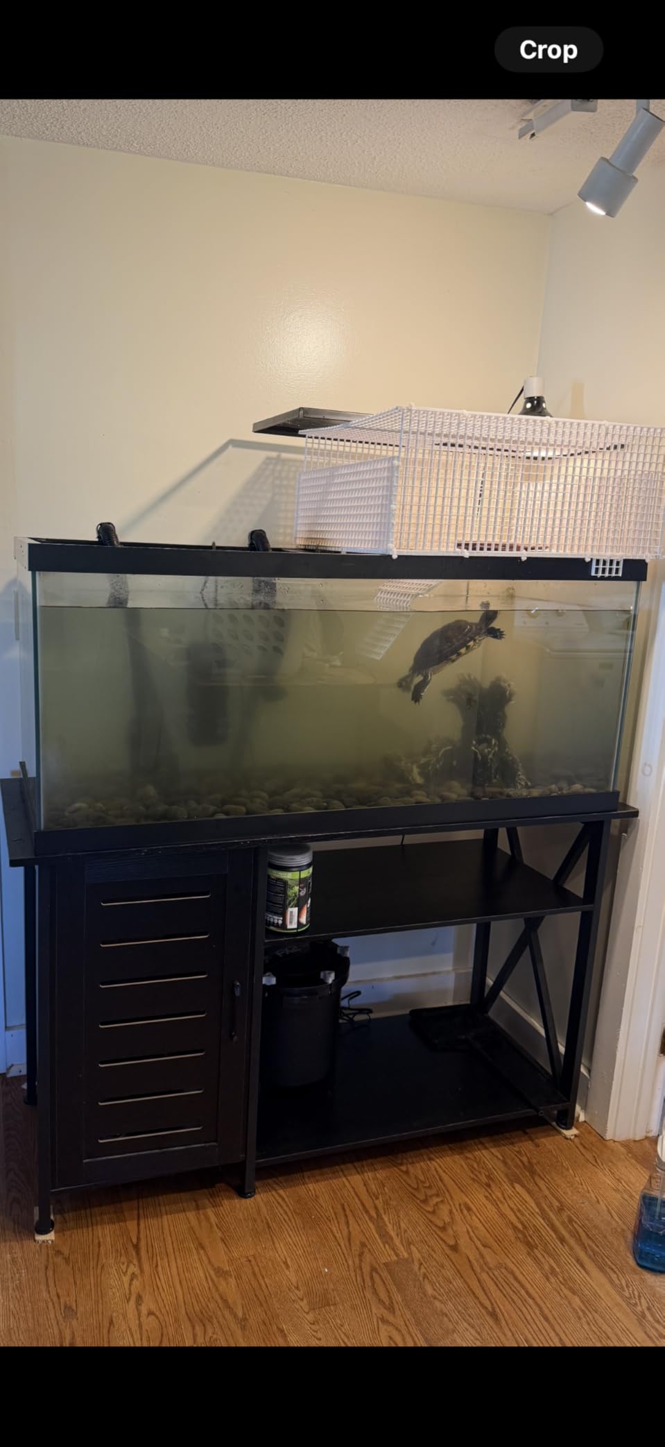 Fluval FX2 High Performance Canister Aquarium Filter | Multi-Stage Filtration, Built-in Powered Water Change System, and Basket-in-Basket Tray Design customer photo 1