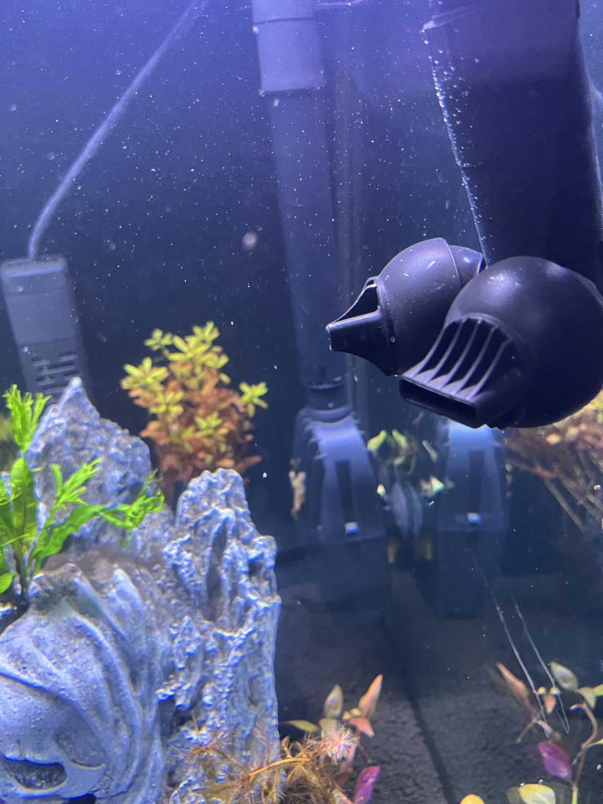 Fluval FX2 High Performance Canister Aquarium Filter | Multi-Stage Filtration, Built-in Powered Water Change System, and Basket-in-Basket Tray Design customer photo 2