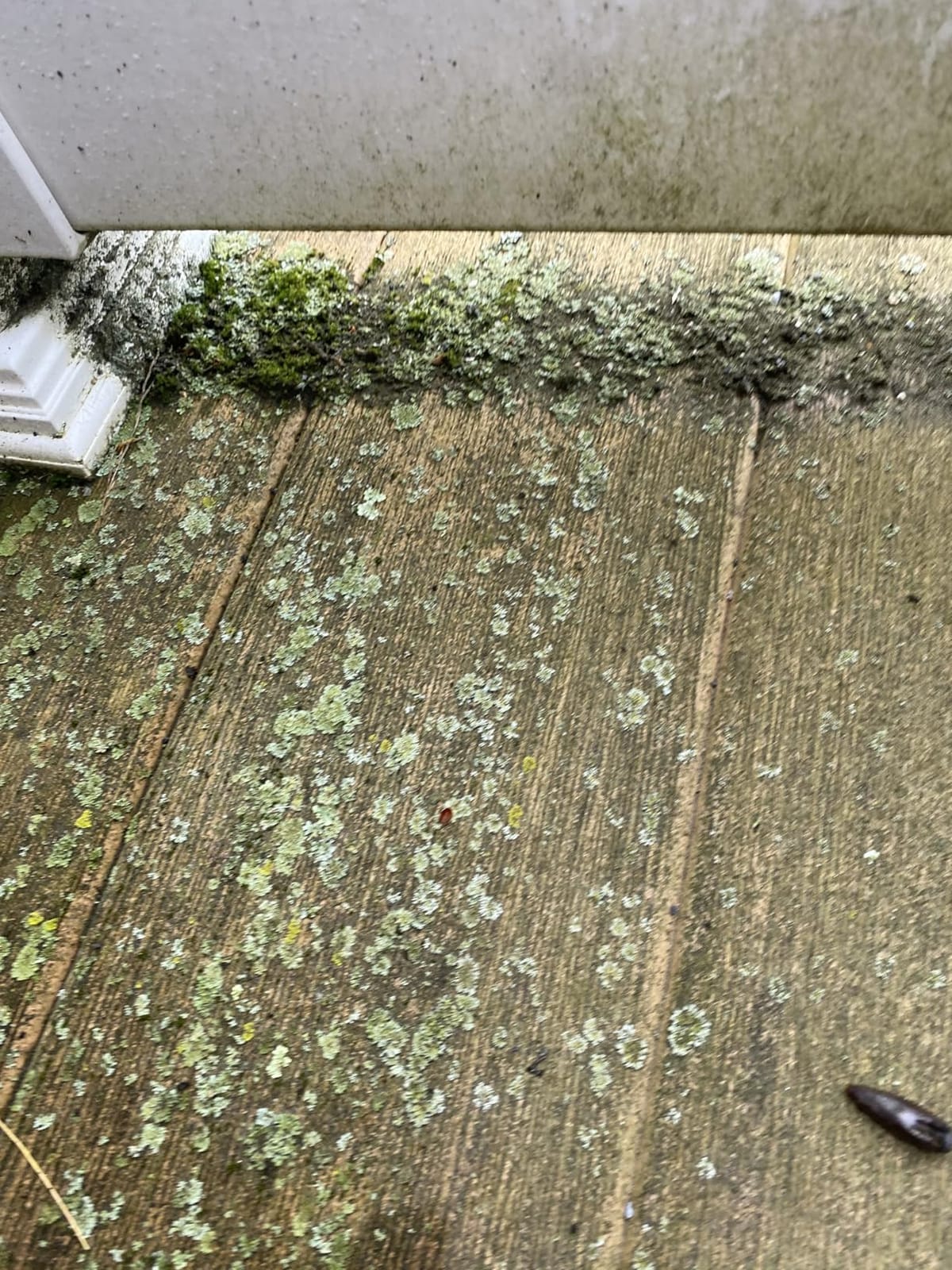 Greenworks 1800 PSI (1.1 GPM) Electric Pressure Washer PWMA Certified customer photo 2