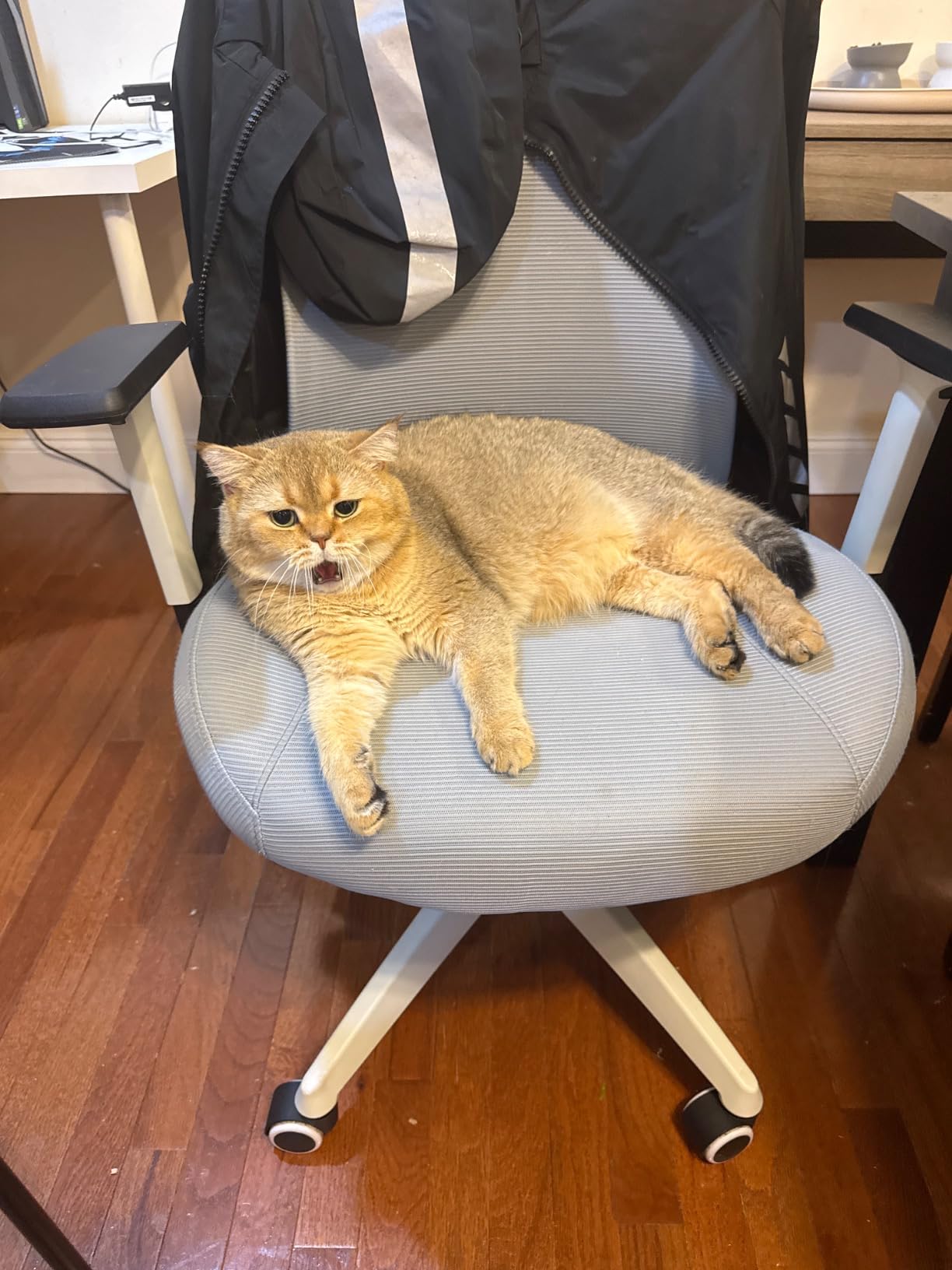 Big and Tall Home Office Desk Chair 400lb Capacity for Heavy People, Ergonomic Wide Mesh Desk Chair with Stepless Recline & Lock, 5.5