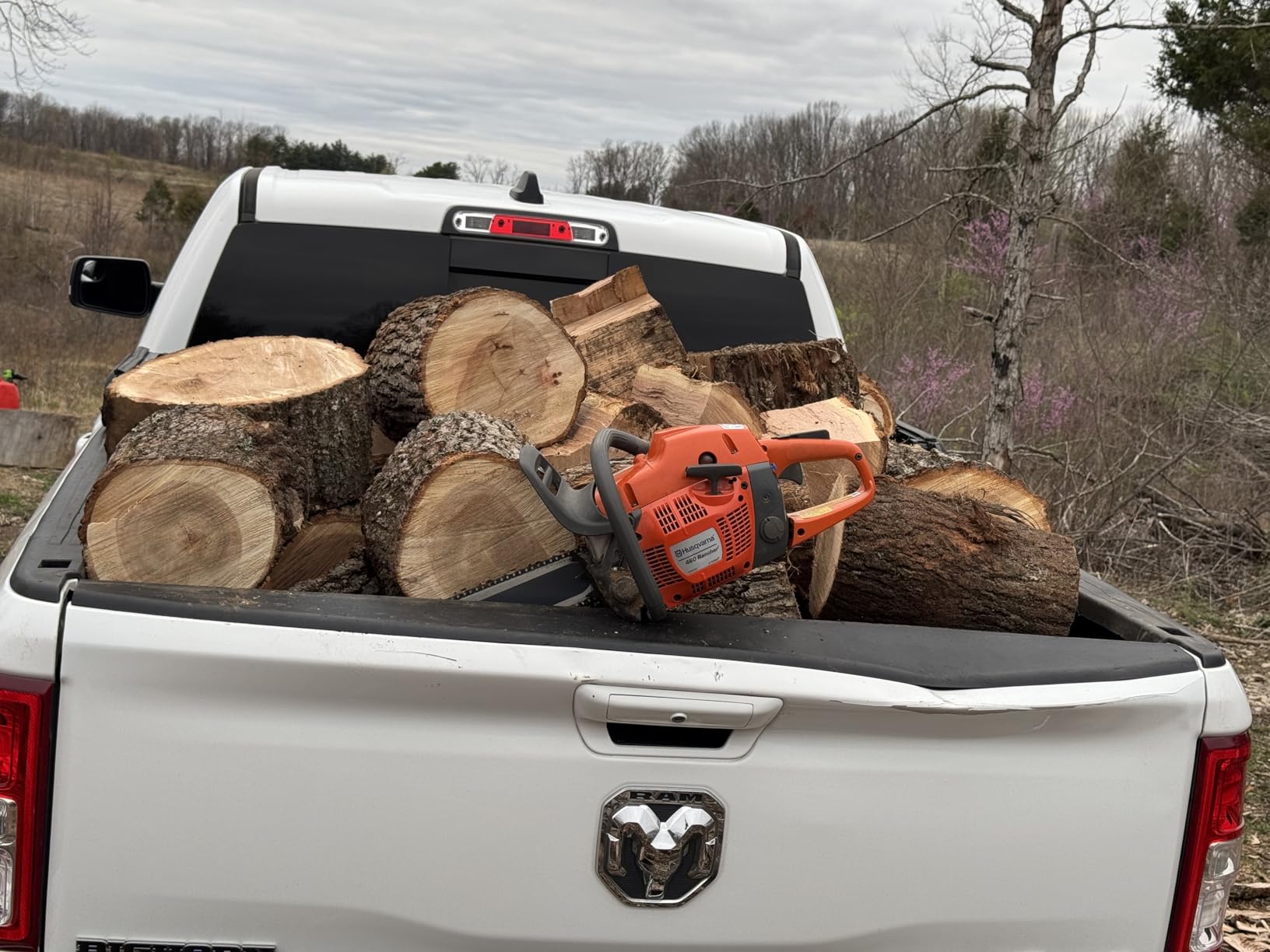Husqvarna 460 Rancher Gas Powered Chainsaw, 60.3-cc 3.6-HP, 2-Cycle X-Torq Engine, 24 Inch Chainsaw with Automatic Adjustable Oil Pump, For Wood Cutting, Tree Trimming and Land Clearing customer photo 1