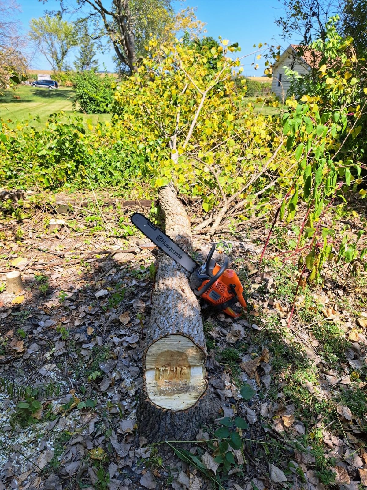 Husqvarna 455 Rancher Gas Chainsaw, 55-cc 3.5-HP, 2-Cycle X-Torq Engine, 20 Inch Chainsaw with Automatic Oiler, For Wood Cutting, Tree Trimming and Land Clearing customer photo 1