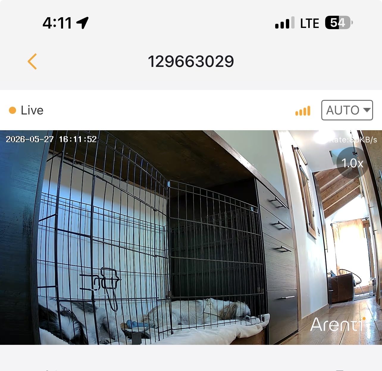 ARENTI 4MP Pet Camera P2Q, 5G WiFi 6 Indoor Security Camera, Free Phone App | Pan/Tilt, Auto Tracking, AI Human/Motion/Sound Detection, Night Vision, 2-Way Audio, Custom Zones, Timer Cruise, Sleep Mode customer photo 2