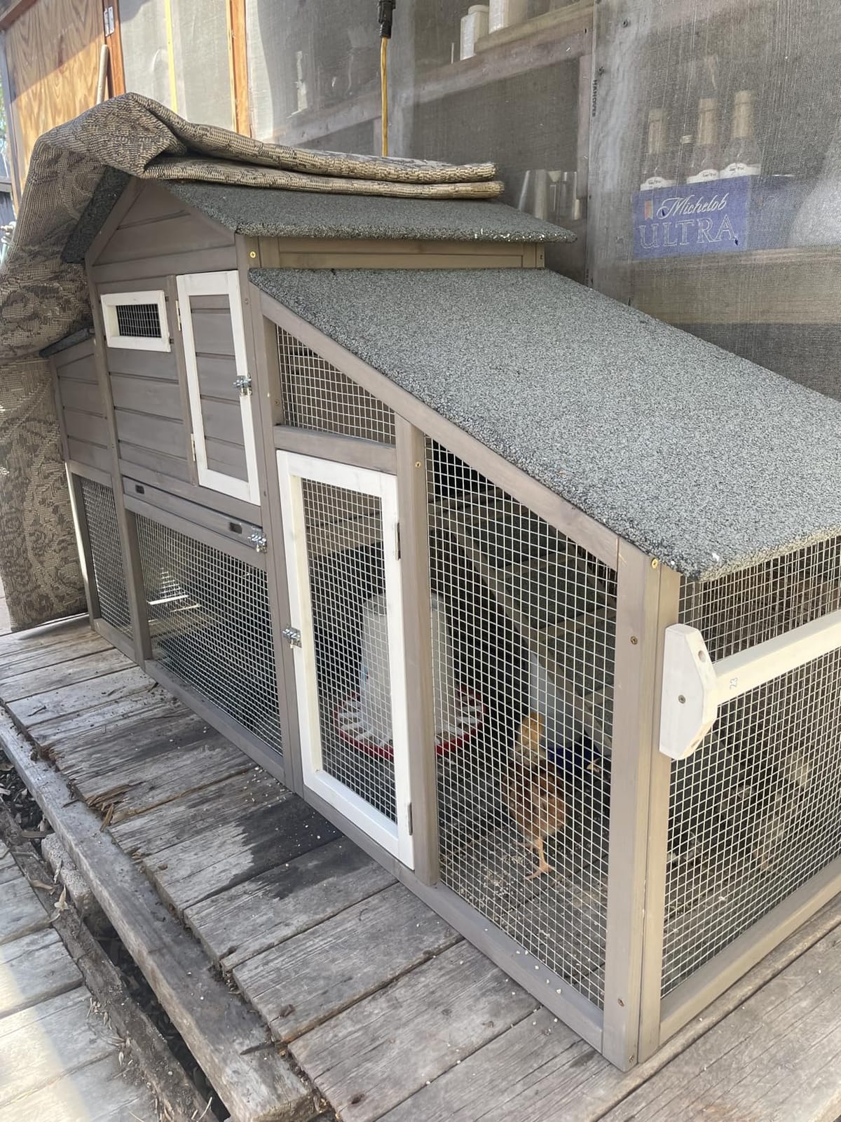 Ketive Large Wooden Chicken Coop with Run and Wheels, Grey | On Wheels, 2 Nesting Box, Pull-Out Tray, For 1-3 Hens, Chicken Coop with Run, Easy Clean Pull-Out Tray, Backyard Use customer photo 1