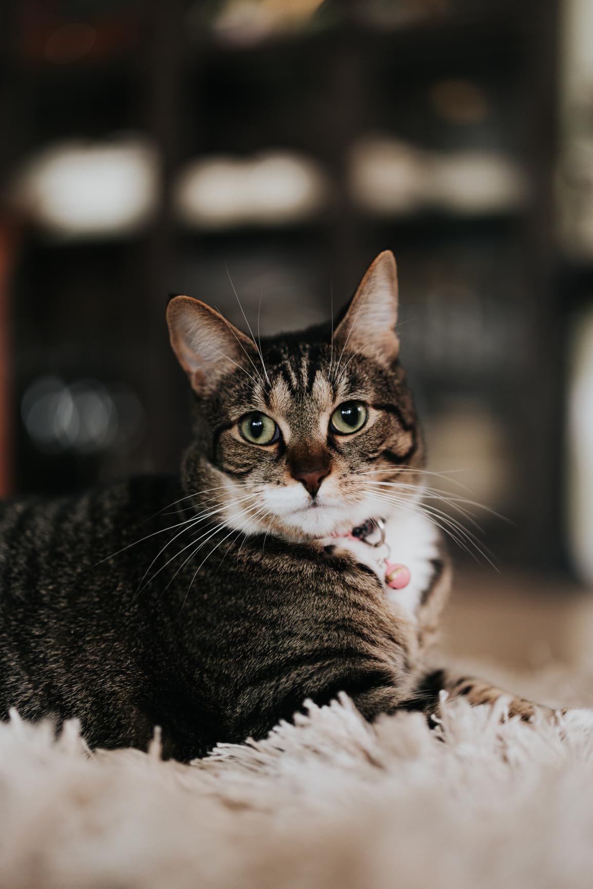Sony FE 50mm F1.4 GM Lens (SEL50F14GM) customer photo 1