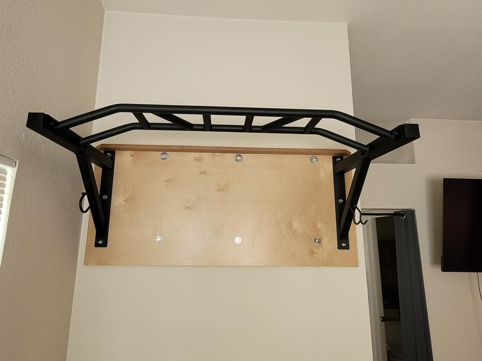LIONSCOOL Multifunctional Wall Mounted Pull Up Bar with Pulley System, 48