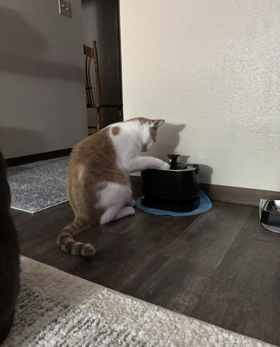 PETLIBRO Cat Water Fountain, Cordless Pet Water Fountain Battery Operated, 2.5L/84oz Dockstream Water Fountains for Cats Indoor, Cat Fountain with Stainless Steel Tray, Easy to Clean BPA-Free customer photo 1