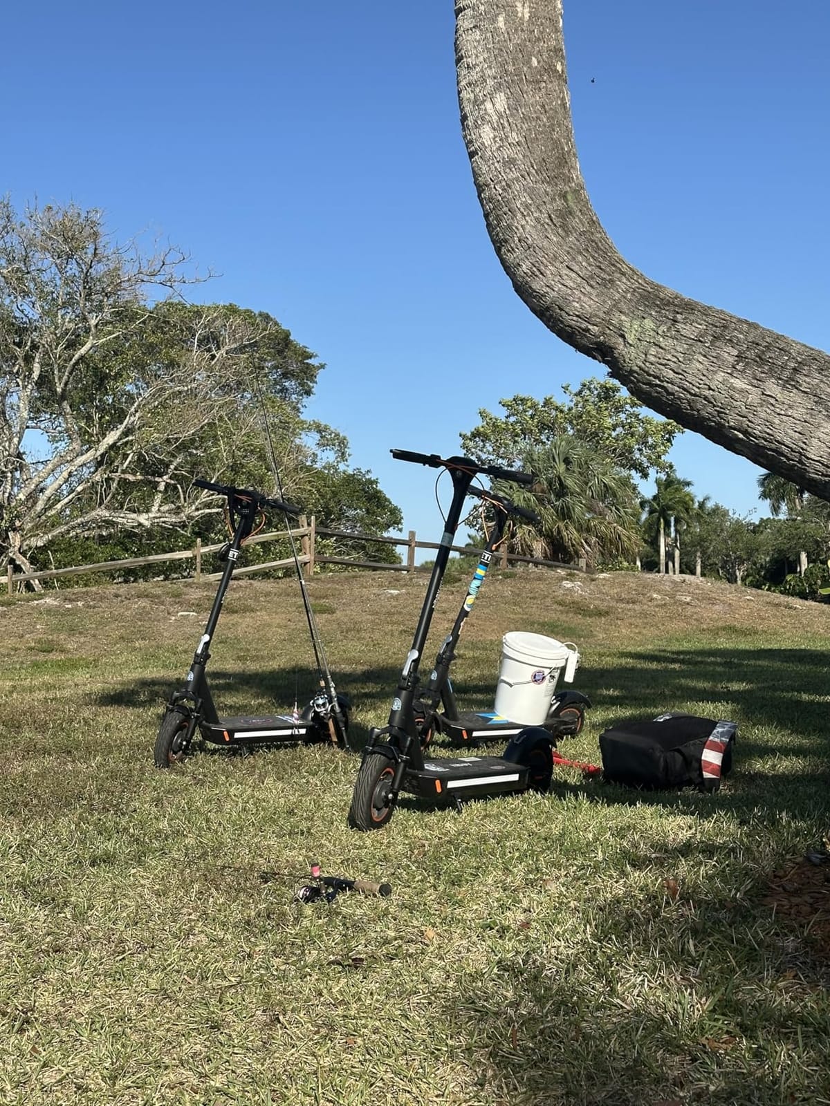 Segway Ninebot MAX Pro Electric Scooter, 46.6 Miles & 22 MPH Commuting E-Scooter | 650W Peak Power Motor, 11