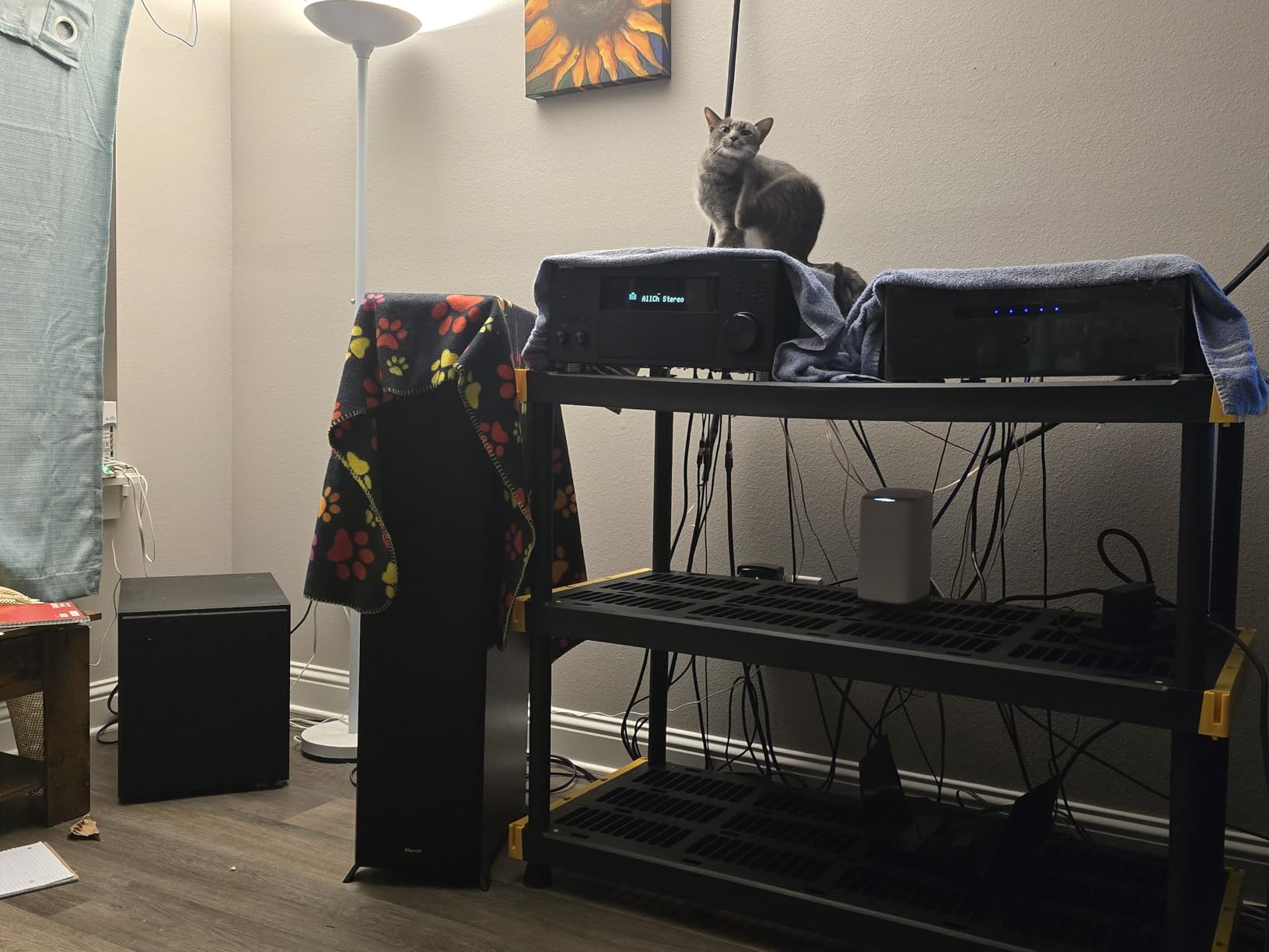 Onkyo TX-RZ70 11.2-Channel AV Receiver - 140 Watts Per Channel, Dirac Live Out of Box, Works with Sonos Certified, THX Certified and More customer photo 2
