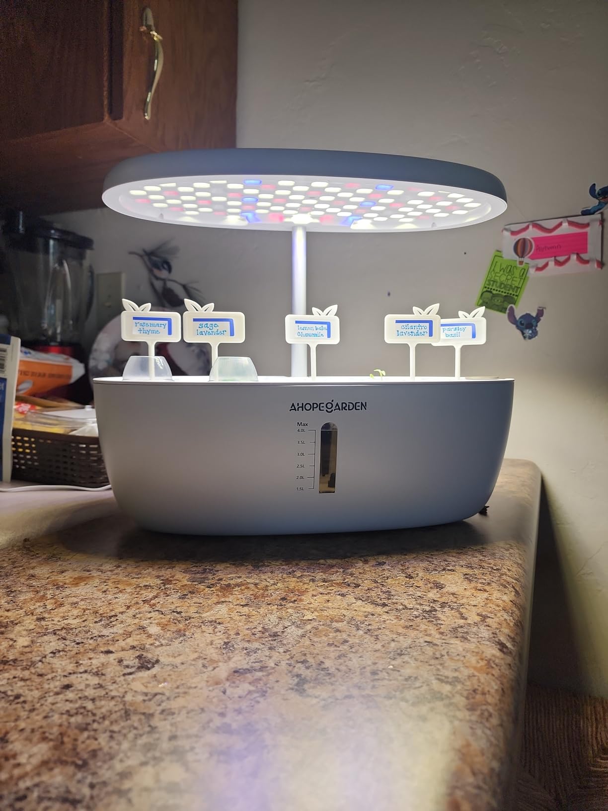 Ahopegarden Hydroponics Growing System: 12 Pods Indoor Herb Garden with LED | Plant Germination Kit with LED Grow Light, Countertop Herb Garden, Hydroponic Planter Grower Harvest Vegetables Lettuce customer photo 2