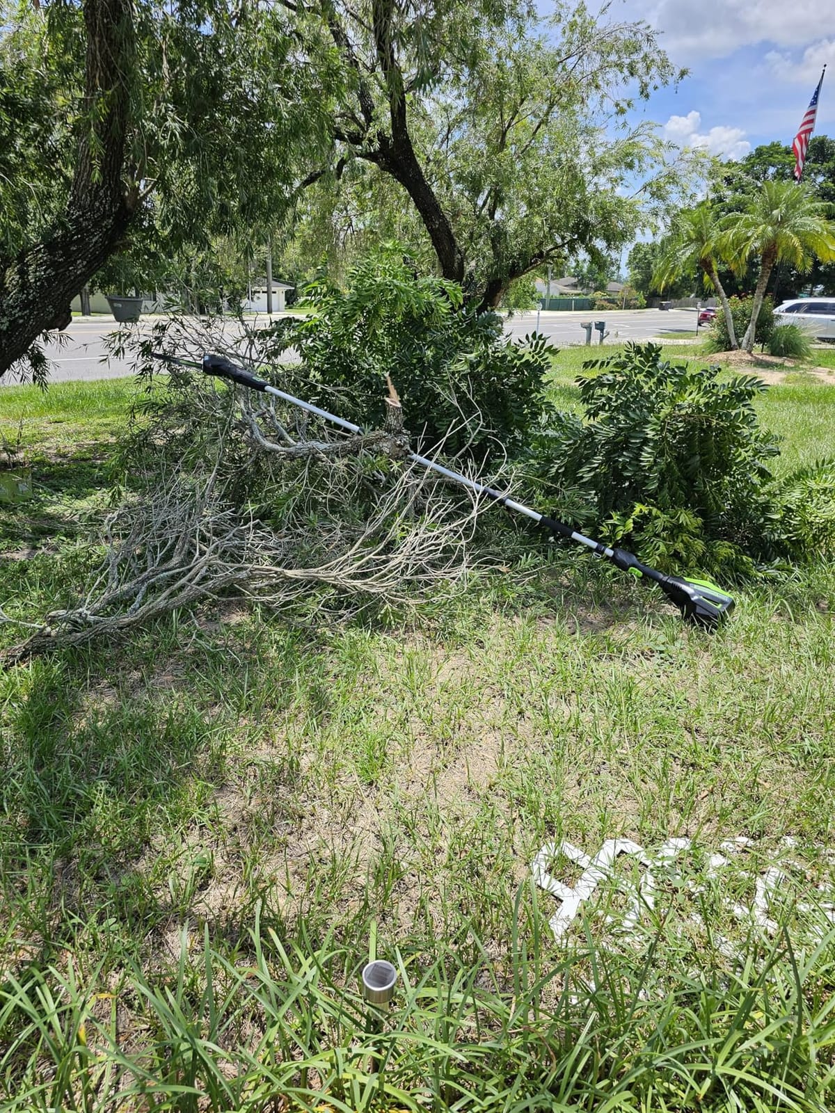 Greenworks 60V 10 in Electric Pole Saw, 2.0 Ah Battery and Charger customer photo 1