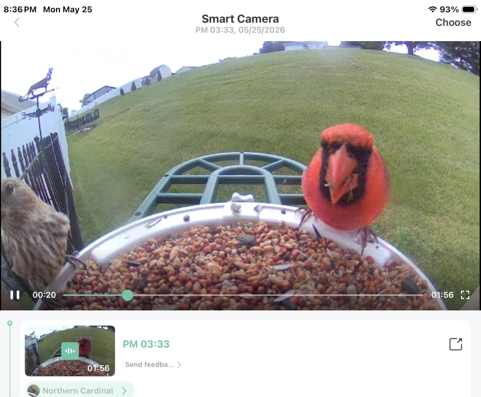 HARYMOR Smart Bird Feeder with Camera - AI Identify Birds Species, Solar Powered Bird House with Cam, 2L Large Capacity, 2K HD Video Live Stream, Instant Arrival Alerts customer photo 2