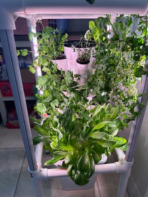 SJZX Hydroponics Growing System, Hydroponic Tower with Full-Spectrum Grow Lights, 5/14Tiers Indoor Outdoor Garden Planter, Vertical Home Gardening Germination Kits for Vegetables, Fruits, Herb customer photo 2