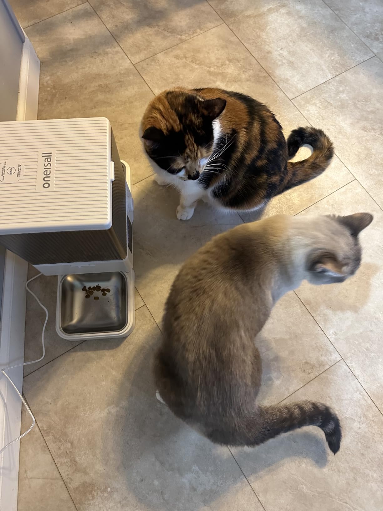 oneisall Automatic Cat Feeder for 2 Cats Pets, Timed Cat Food Dispenser | 20 Cups/5L, Prevent Fighting, Precise Portion, Balanced Dispense, Non-Slip & Stable, Voice Recorder, Stainless Steel Bowls customer photo 2